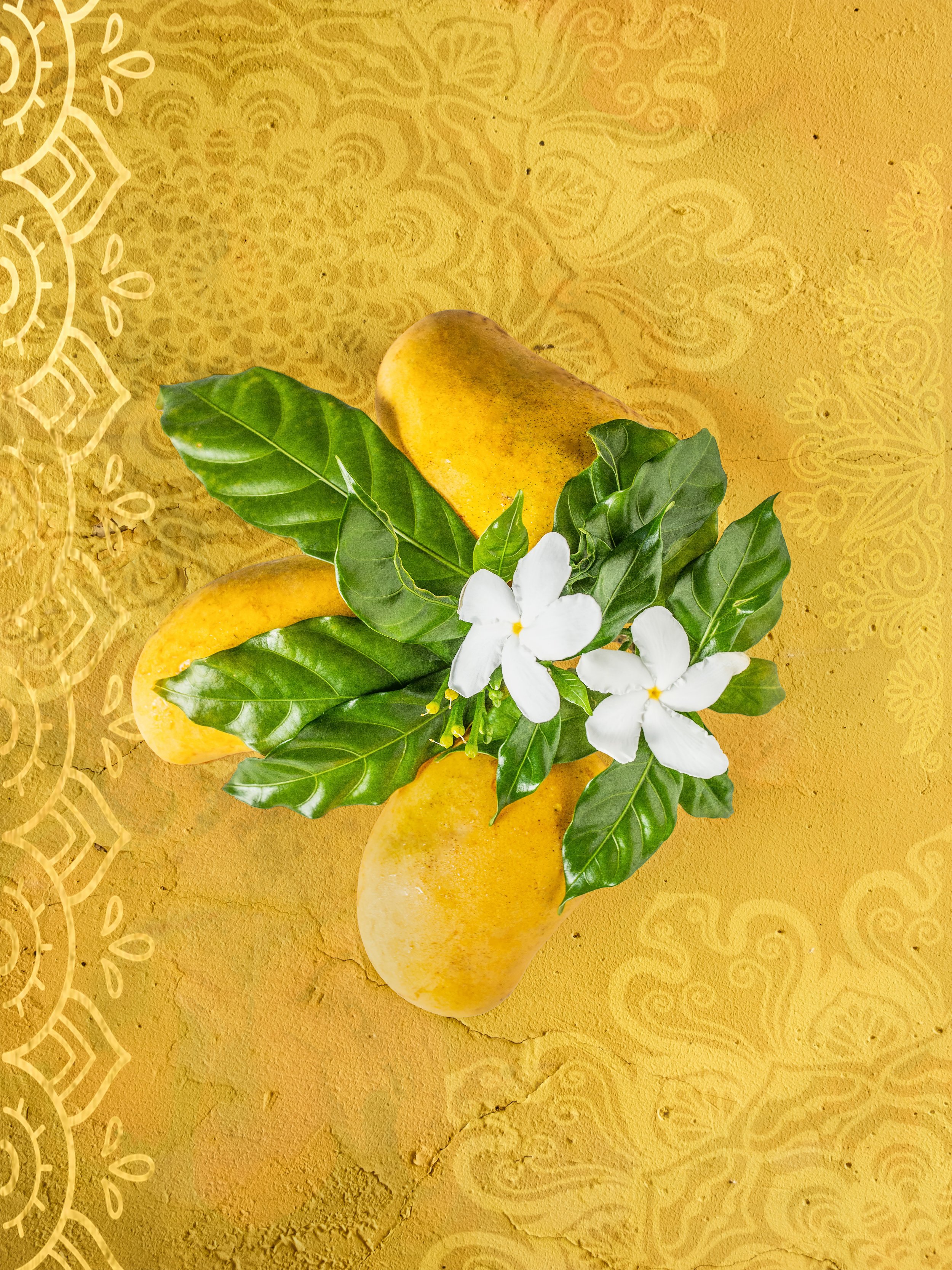 Mango Jasmine Final 18x24_20mb.jpeg