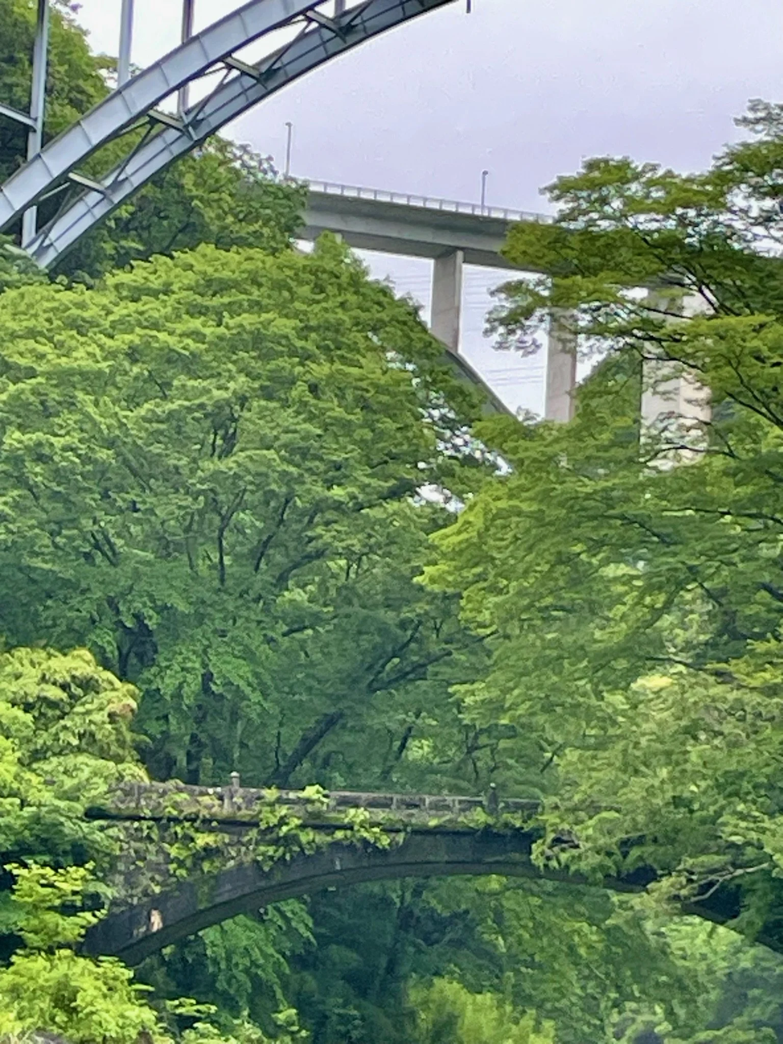 IMG_4150.jpeg