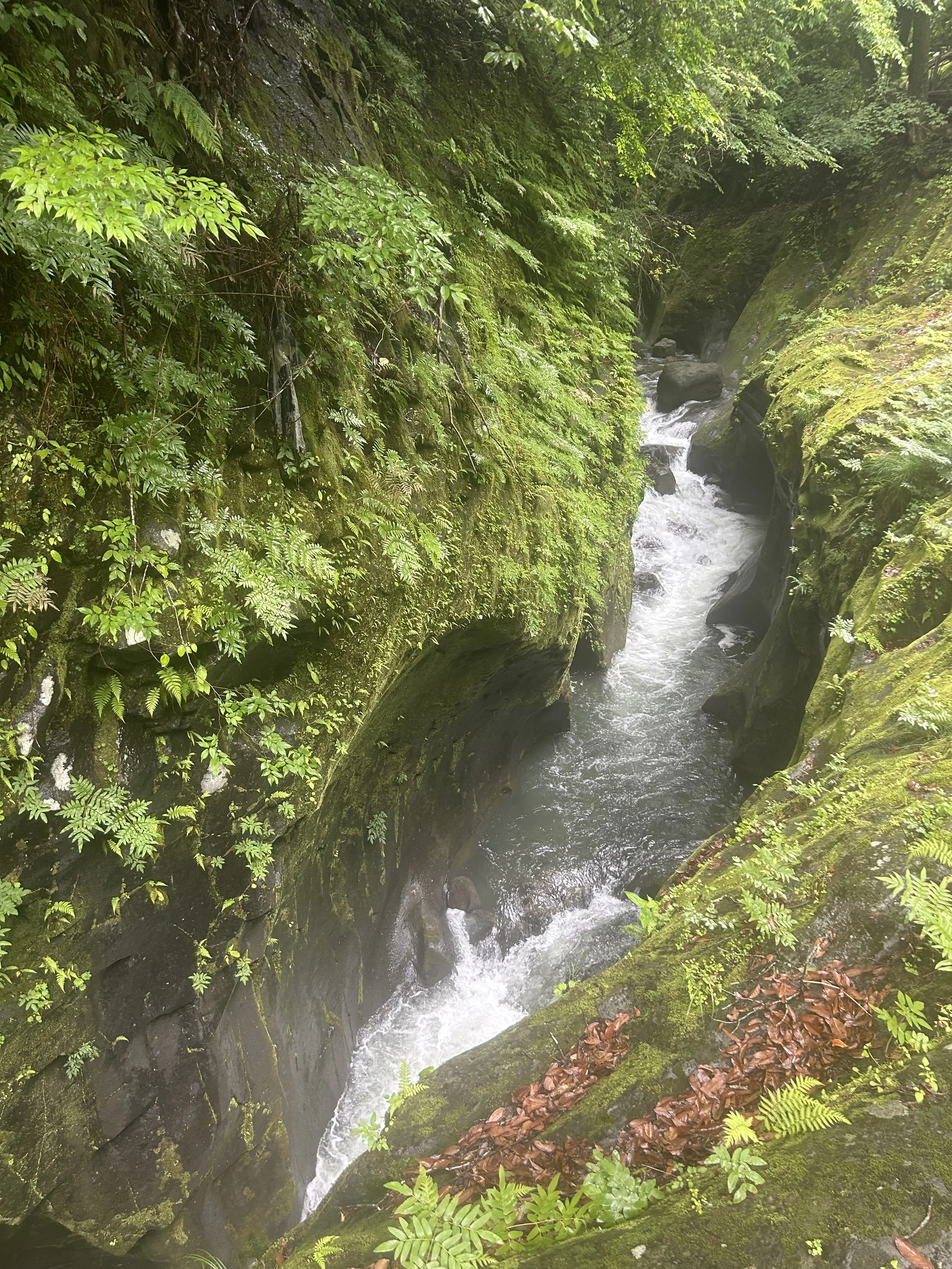 IMG_5776.jpeg