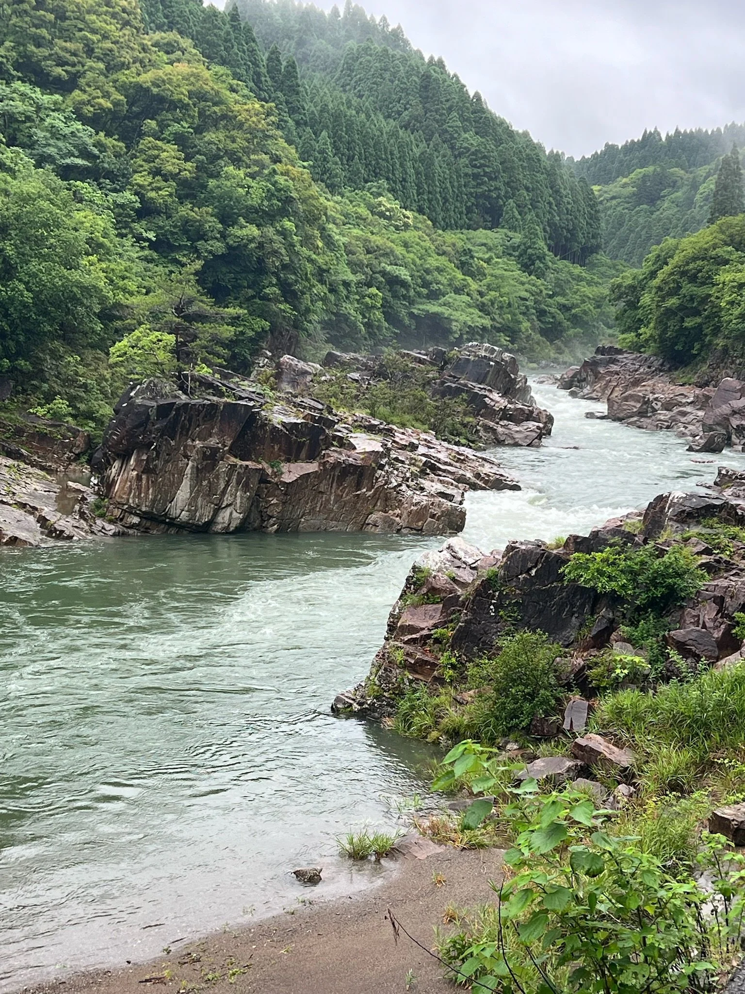 IMG_6323.jpeg