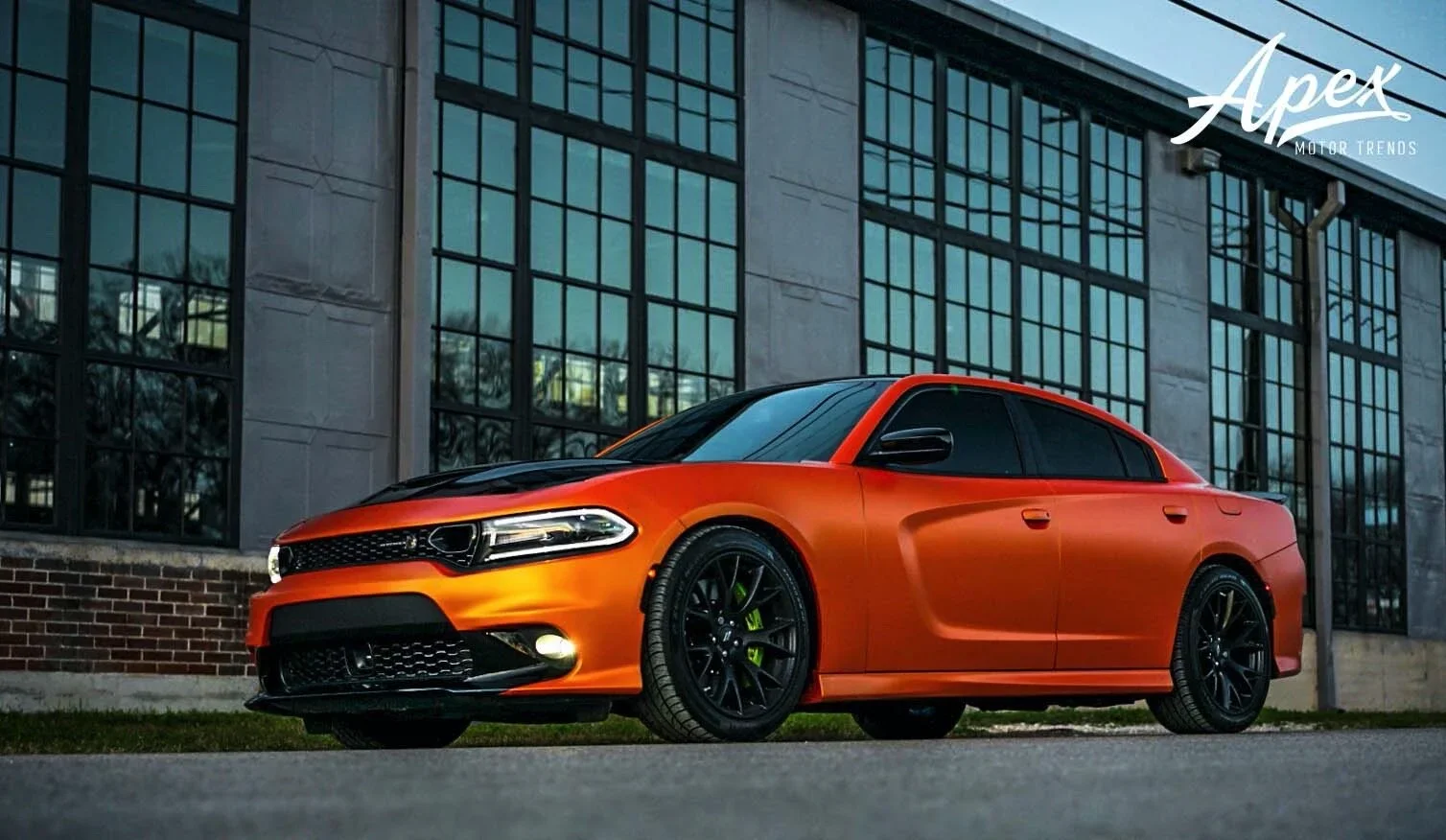 PPF Painting Leauge City