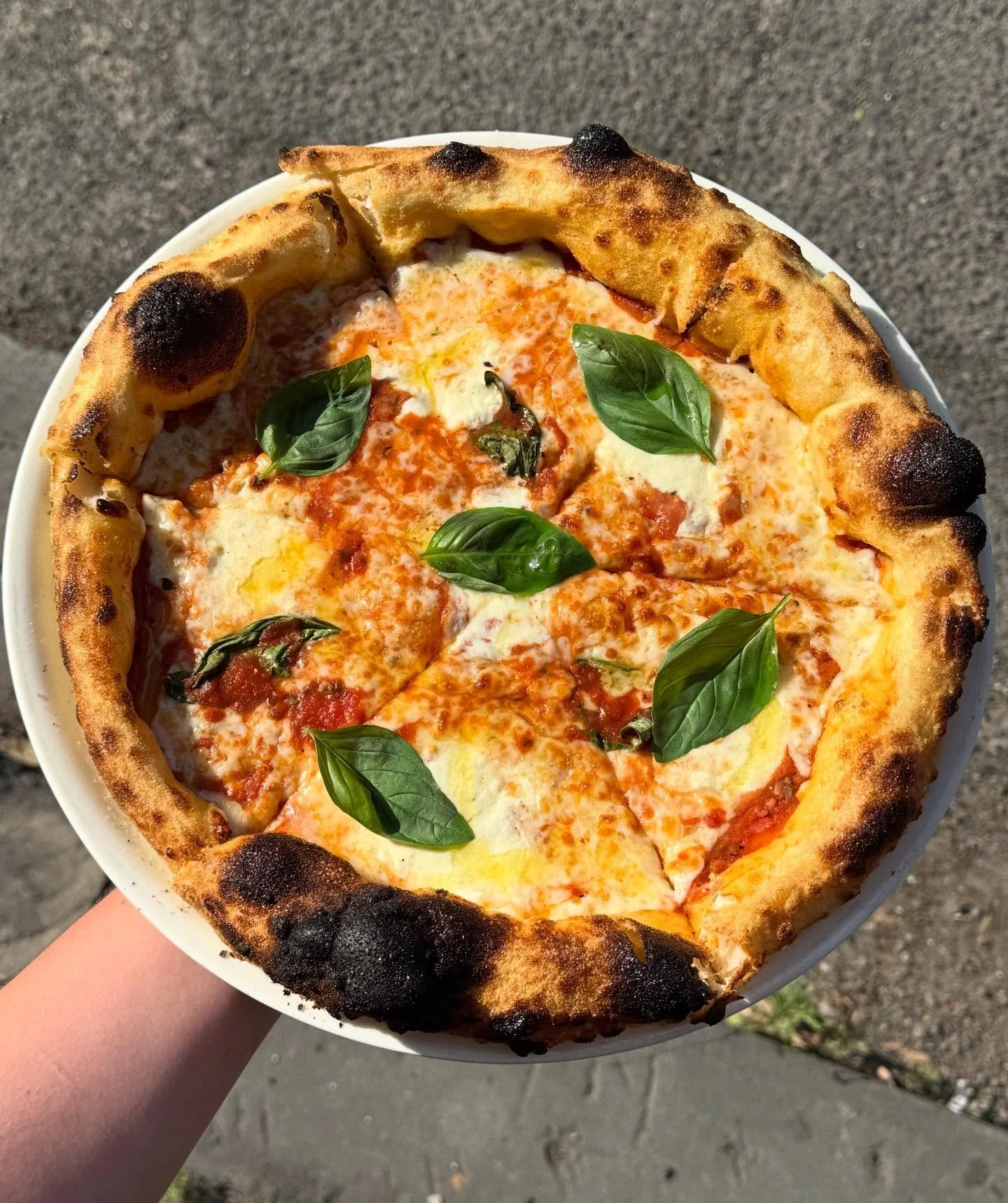 FREE MARGARITA PIZZA WITH ANY OTHER PIZZA PURCHASE 5 - 7pm TODAY BECAUSE WE LOVE YOU SO MUCH!
*Pigeons receive 2 free pizza per pizza purchased. Two pizza with one bird. We don&rsquo;t make the rules.