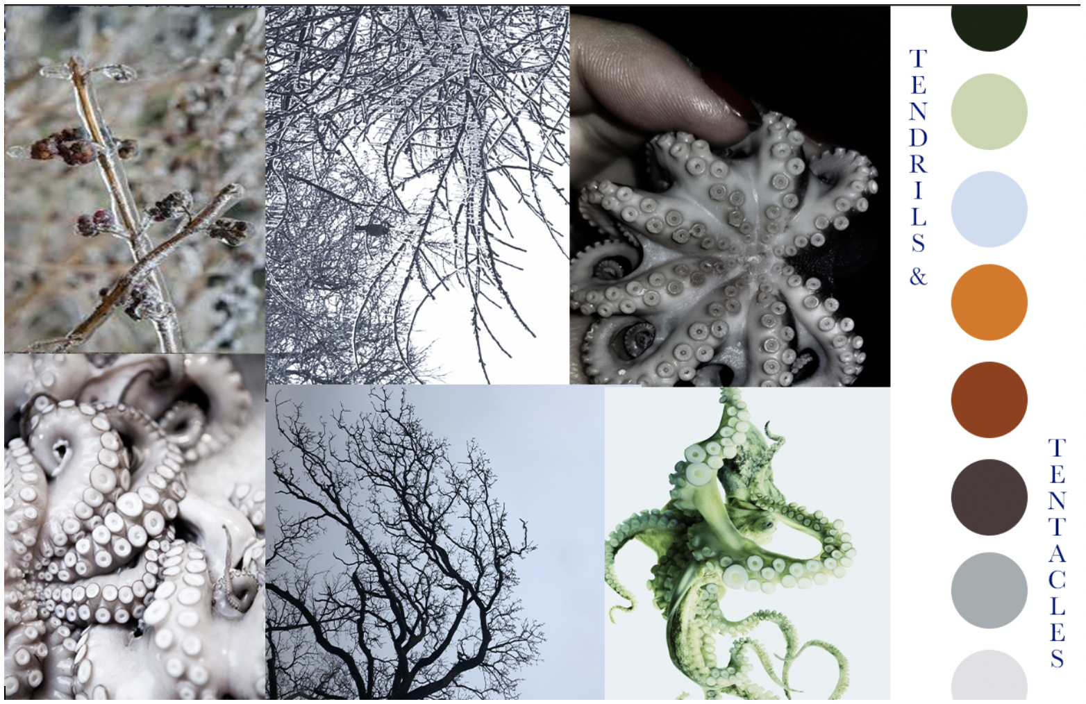 Mood Board for a textiles collections about the eerie feeling tentacles give me