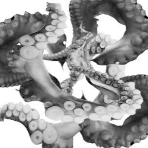 Black and White Tentacle Base Pattern