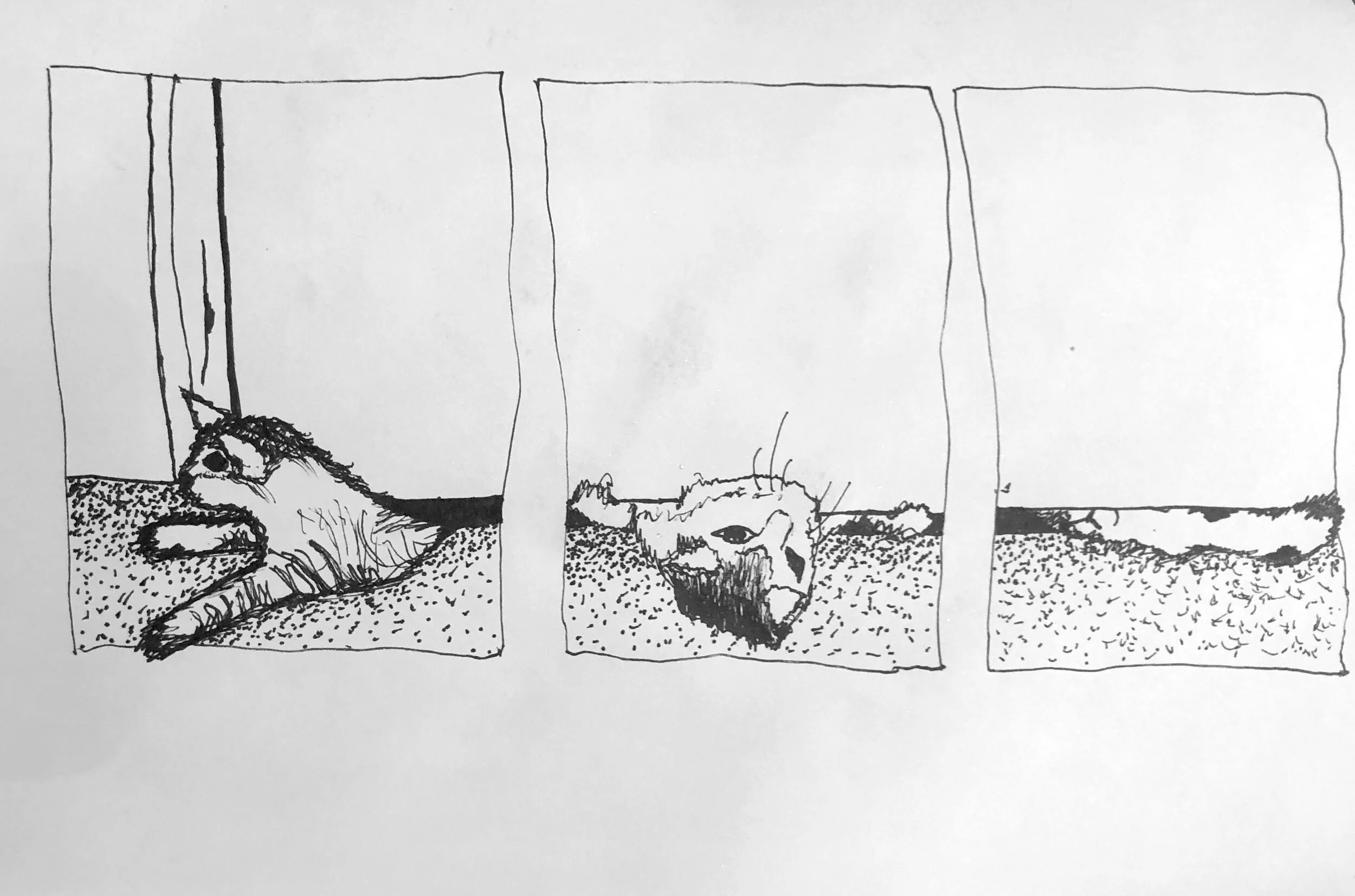 Naomi Horsford_10.jpeg