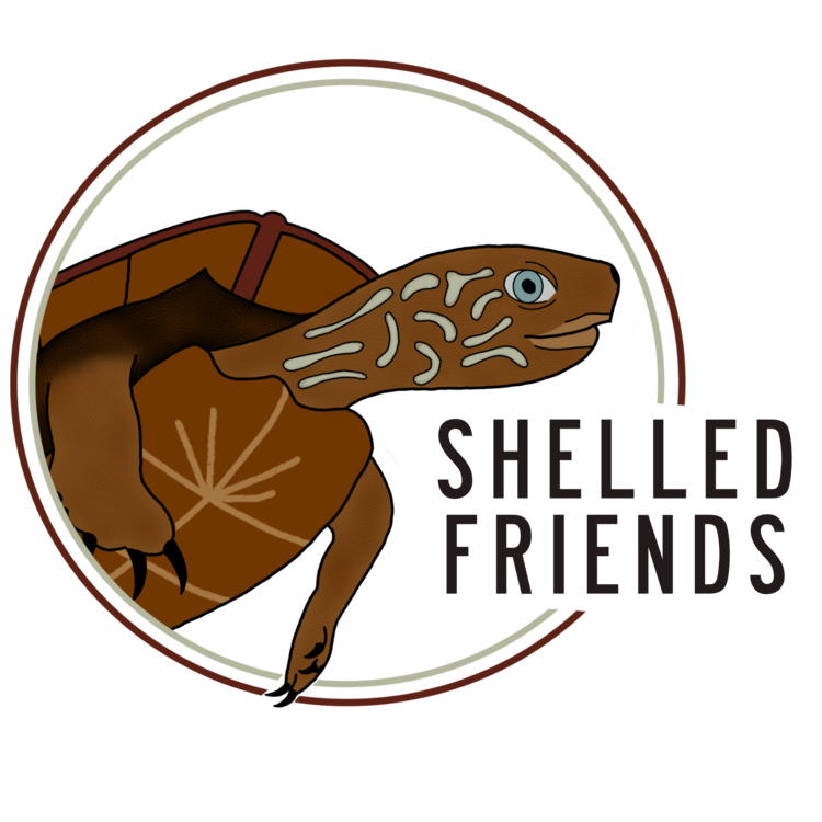 Shelled Friends 