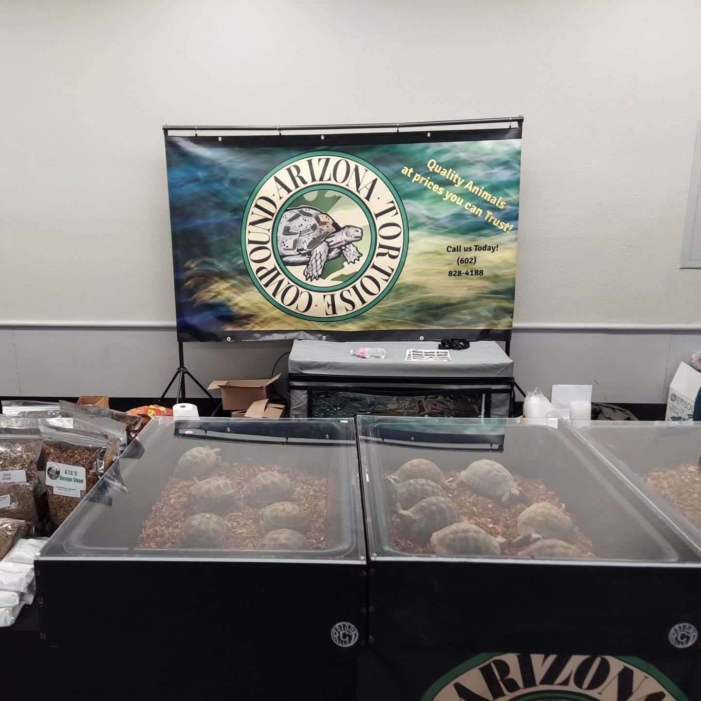 Visiting the phoenixreptileexpo today? Stop by our friends at Arizona Tortoise Compound and check out some of the awesome turtle species they have available.