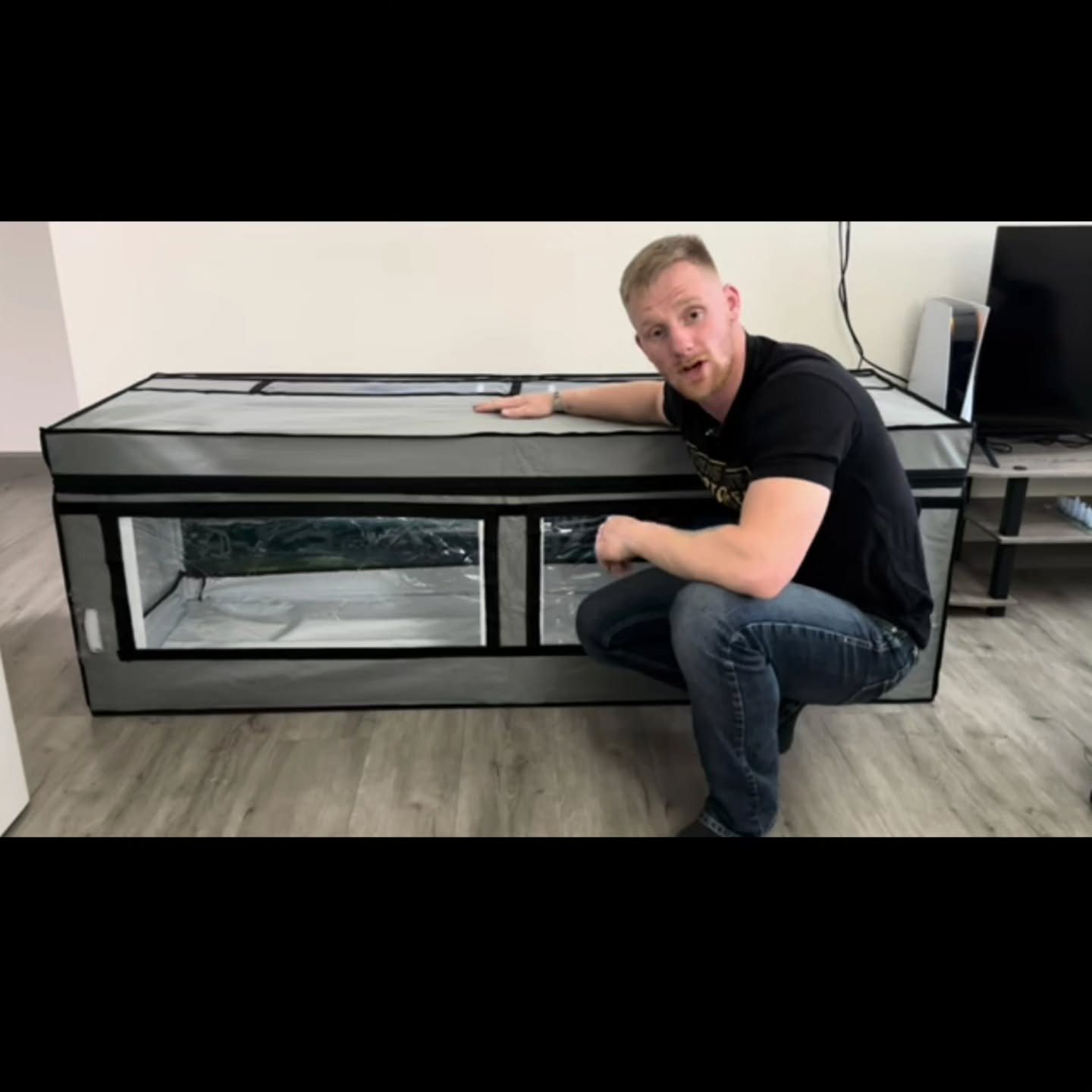 Check out this reptile tent assembly video from Dawson. The Reptile Tents are light weight and easy to assemble, and work well for small species of toetoises and other small reptiles. 

Visit @texasstatetortoises and check out the bio for the link to
