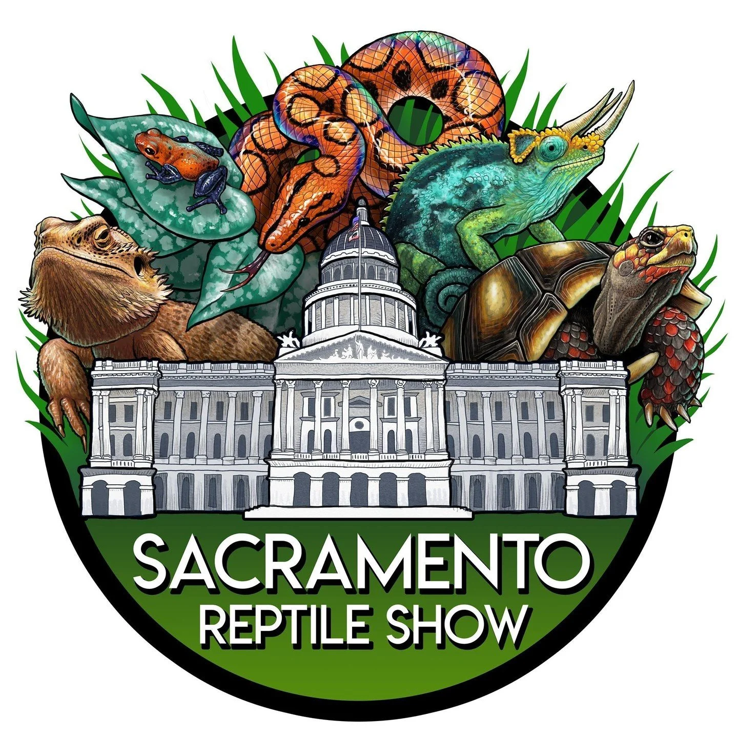 Heading to @sacreptileshow this weekend. I have some Pancake tortoises, Eastern box turtle, and Eastern Hermann's tortoises that are ready for new homes. If you are interested, reach out to me here or via email at support@shelledfriends.com. Thanks.