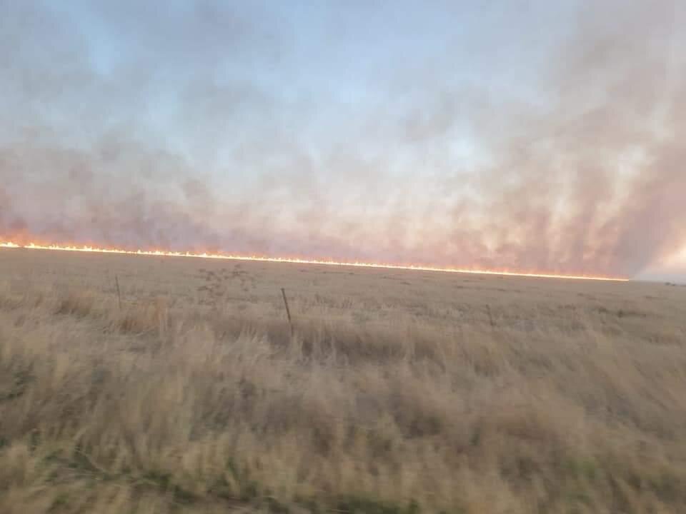 WhatsApp Image 2020-10-20 at 20.24.13.jpeg