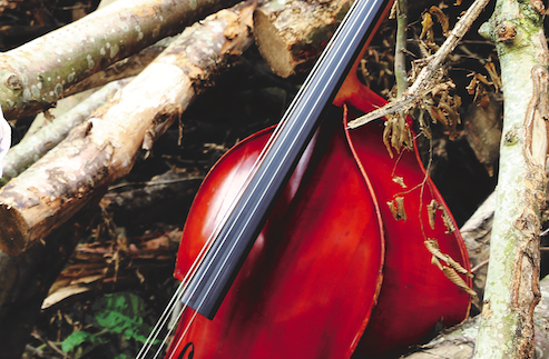 The Music for a Green Planet