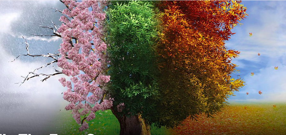Het mooiste van Vivaldi- "Vier Jaargetijden" FLORIADE EXPO