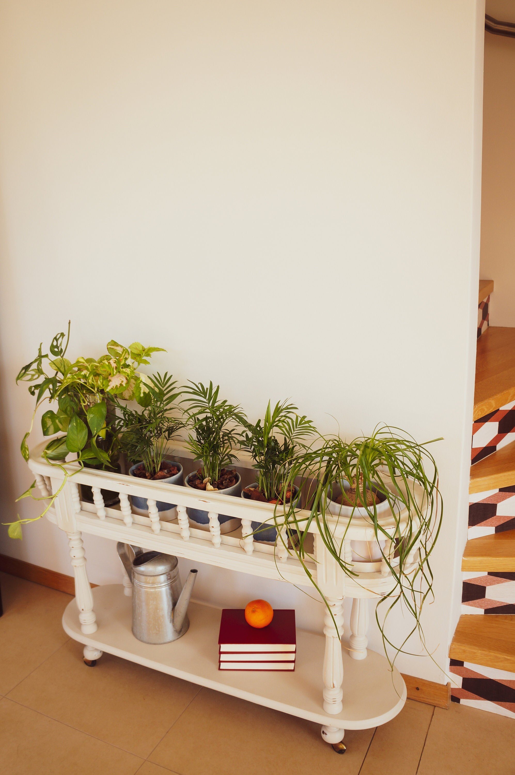 https://i.etsystatic.com/25367807/r/il/08e2c0/3686188636/il_fullxfull.3686188636_eui5.jpg