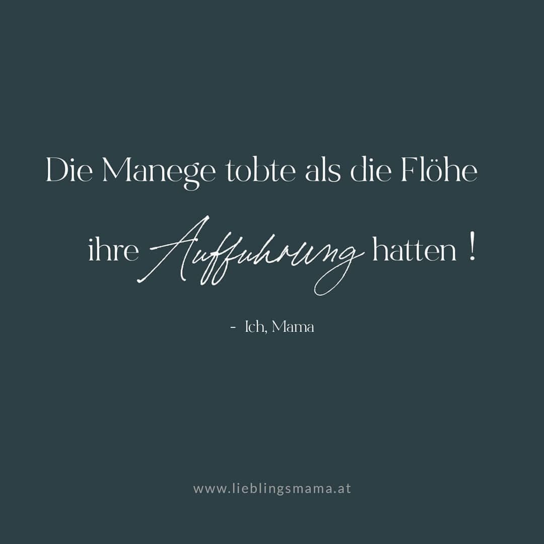 Manchmal kommt man sich als Mama tats&auml;chlich vor wie im Zirkus 🎪🤹🏼&zwj;♀️🦓🏋🏾&zwj;♀️ Dabei ist gar nicht wichtig, ob man Mama Floh-Dompteur oder begeisterte Zuschauerin ist 🙋🏻&zwj;♀️ Ein herrliches Spektakel, das einfach nur bestaunt werd