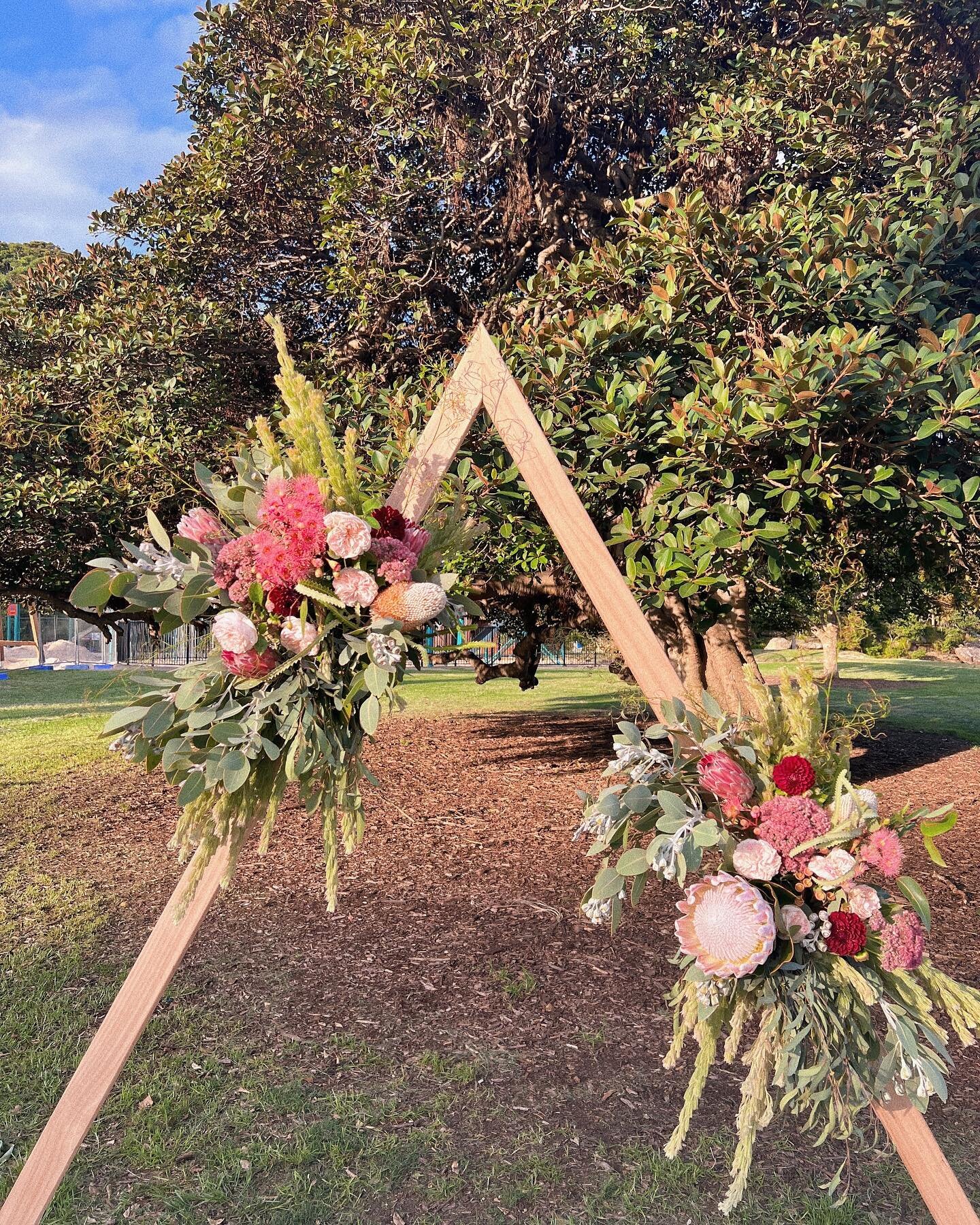 Arbour in the setting sun from yesterdays lovely wedding of Chloe and Sam 💛 
 
Australian Native flowers with additional local roses and dahlias with stunning proteas native to SA (grown in Aus ofcourse) 
 
Get in touch to plan your wedding today, a
