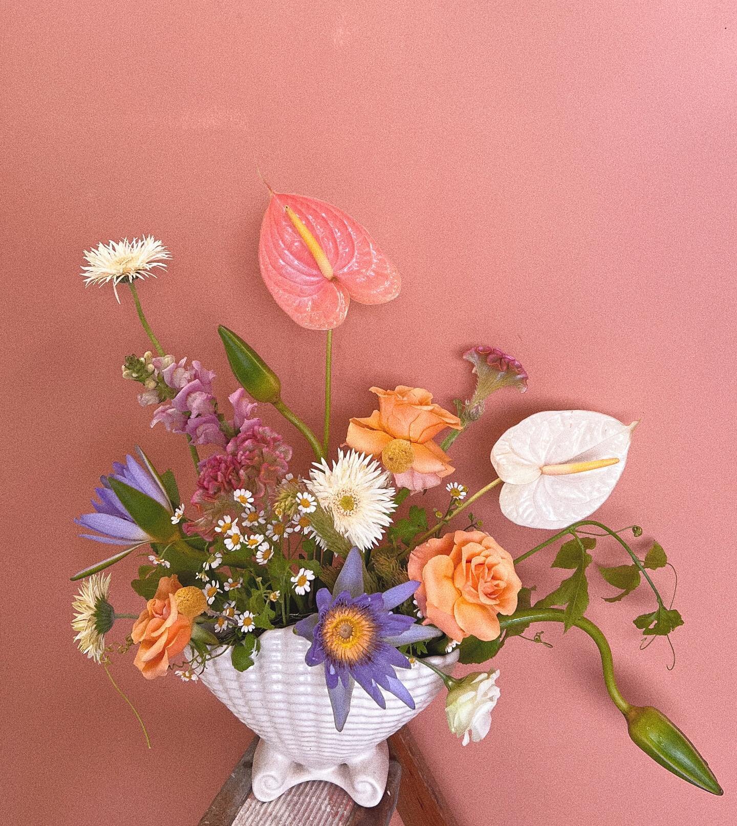 Flower Play 🌈🌼 
 
These colours forever pls
 
Ft. Water Lillies, Anthuriums, Local Roses, Camomile, Celosia, Snap Dragon, Spider Gerbera, Passionfruit Vine