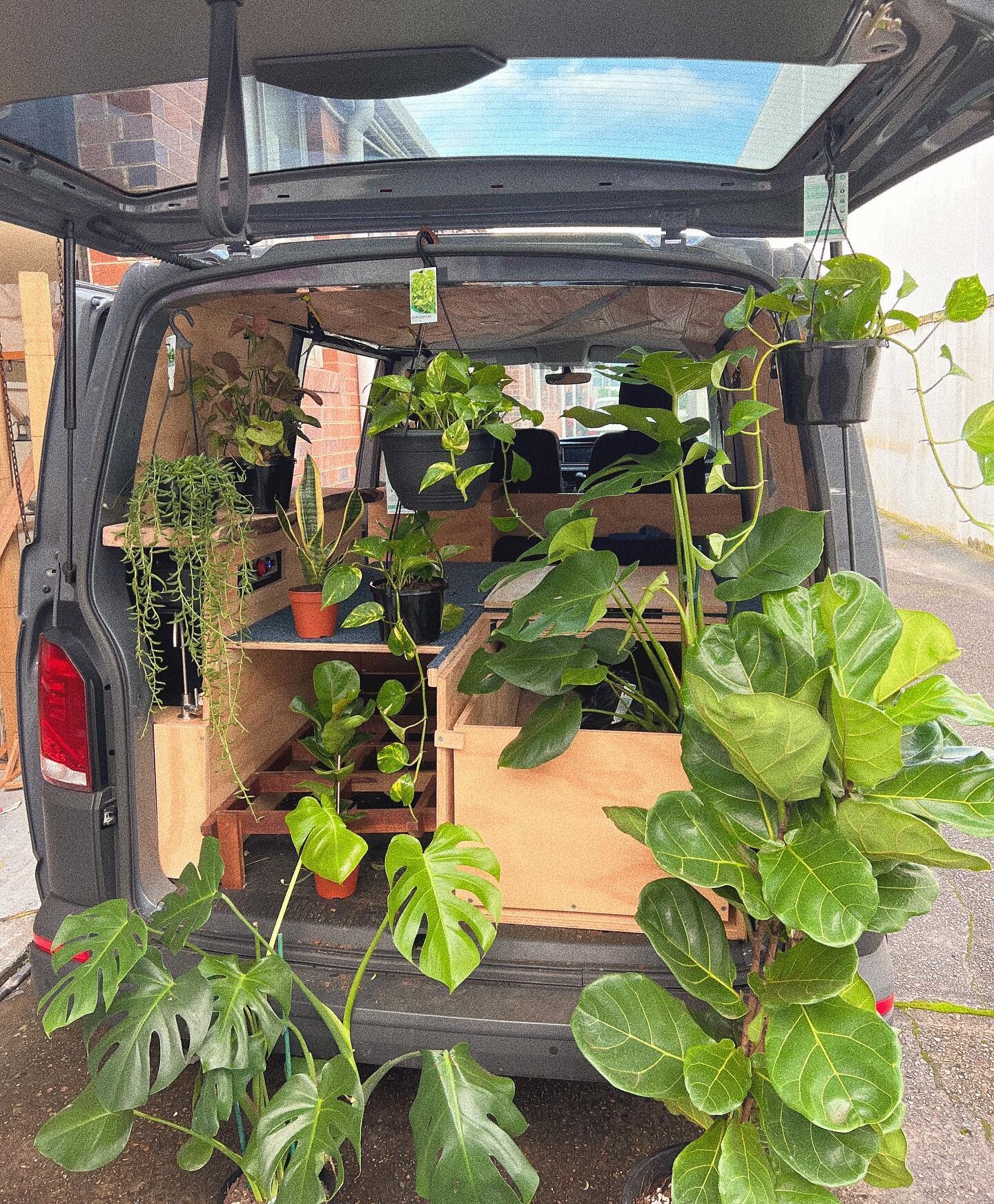 Back of the Grey Nurse stocked up on plants! Heaven in a van! I feel like this should always be the back of my car?!?!?
 
 
For all your plant needs email me at: Flowers@fikafloristry.com.au

🪴🍃🌱🪴🌿🍃🪴
 
#indoorplants #indoorjungle #interiordesi