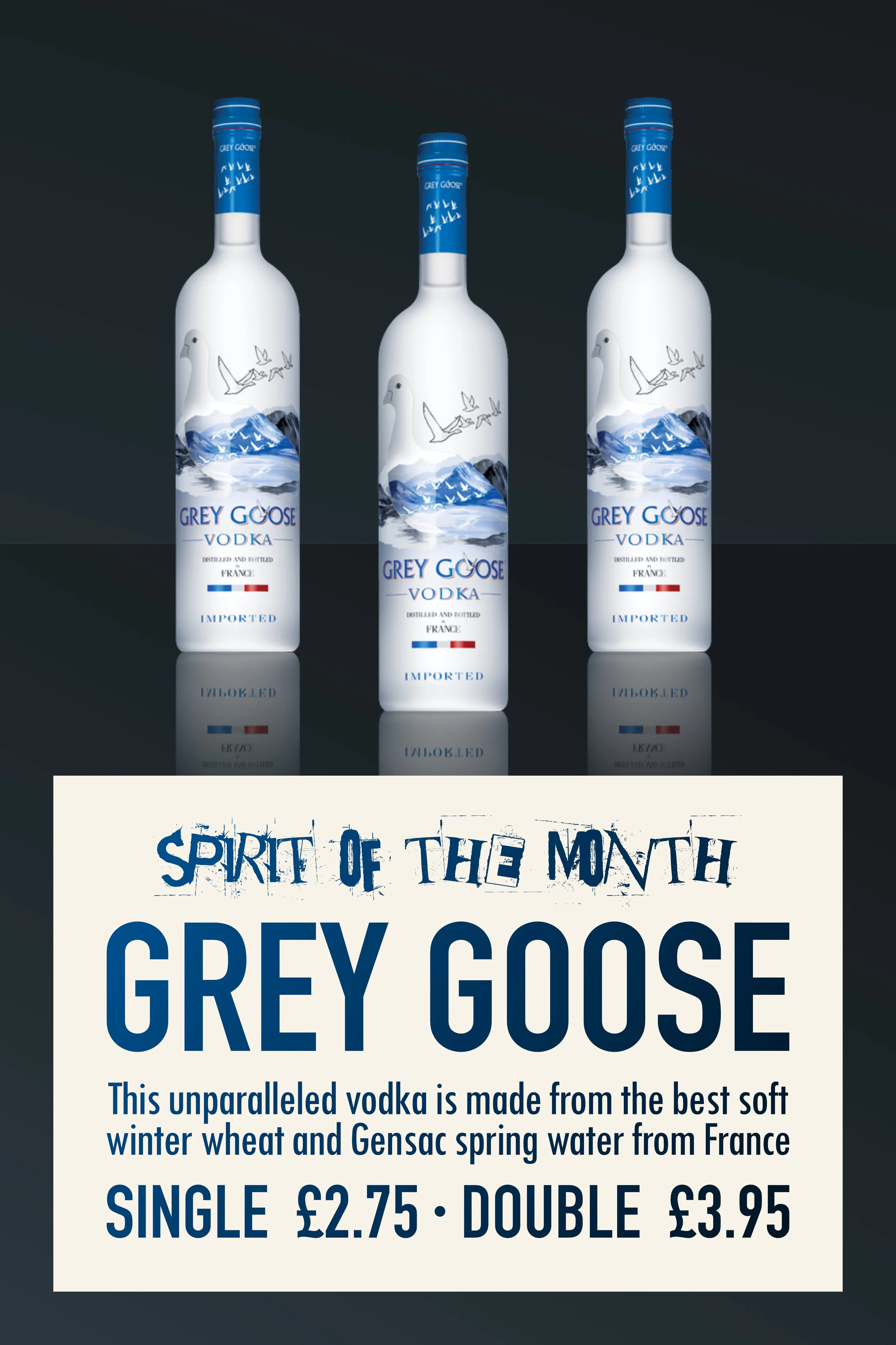 Web - Grey Goose.jpg