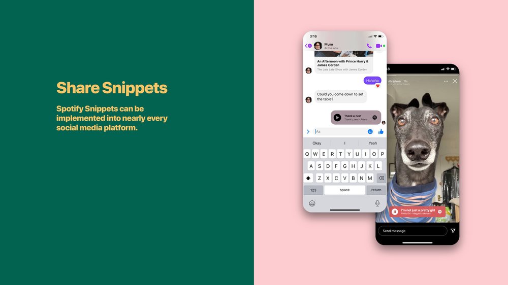 spotify snippets5.jpg