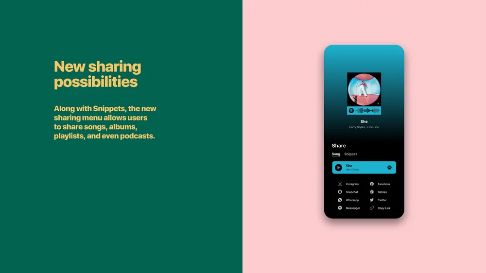 spotify snippets7.jpg