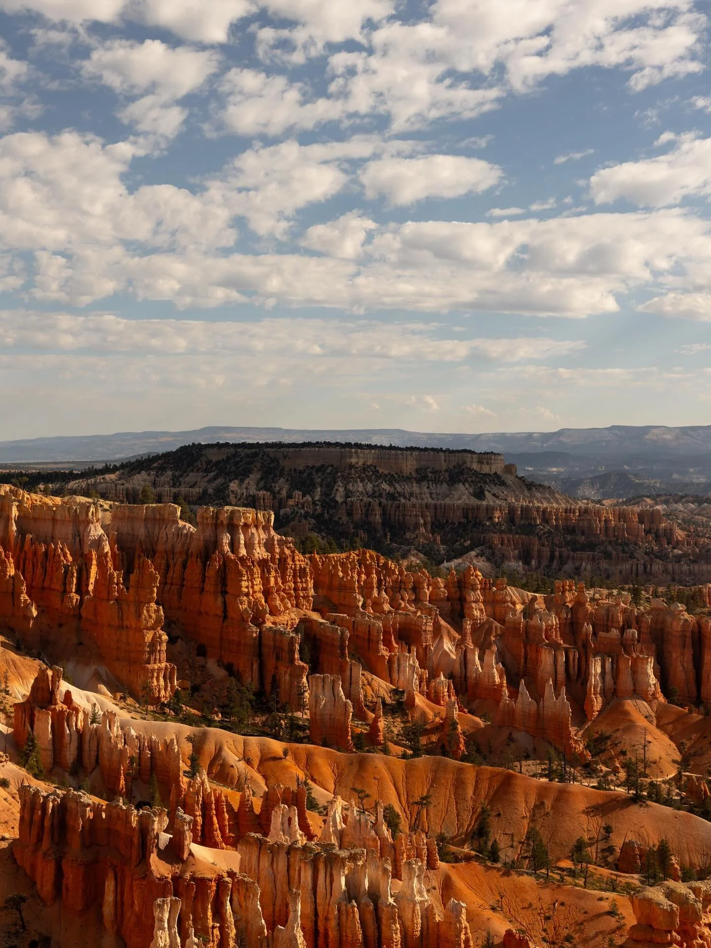 This was our last hike in Bryce Canyon 🏜️
Utah &ndash; September 2024

#brycecanyonnationalpark #brycecanyon #utah #utahphotographer #photography