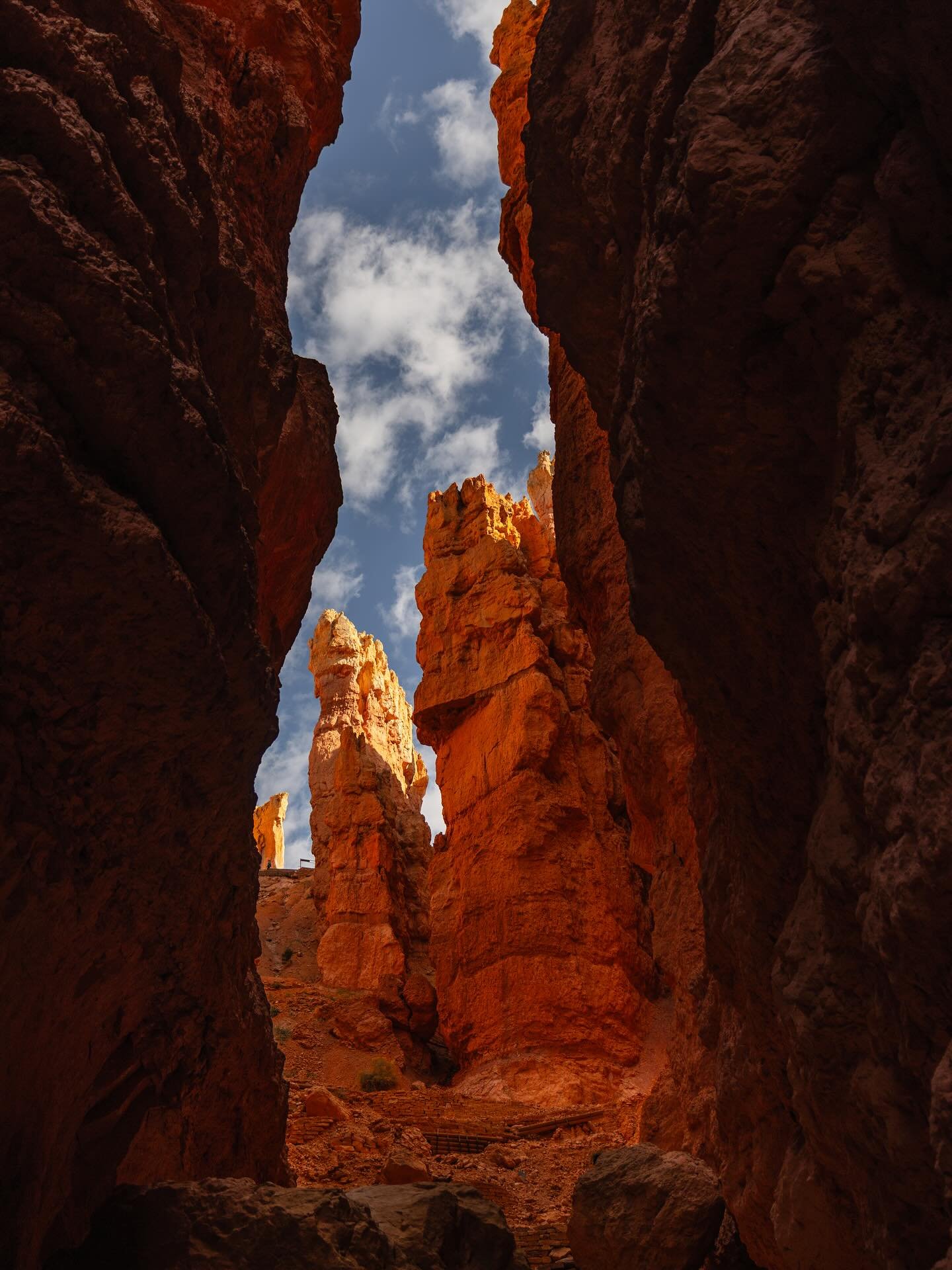 A cool part of the Navajo Loop 
Utah &ndash; September 2024

#utah #utahphotographer #brycecanyonnationalpark #brycecanyon #photography