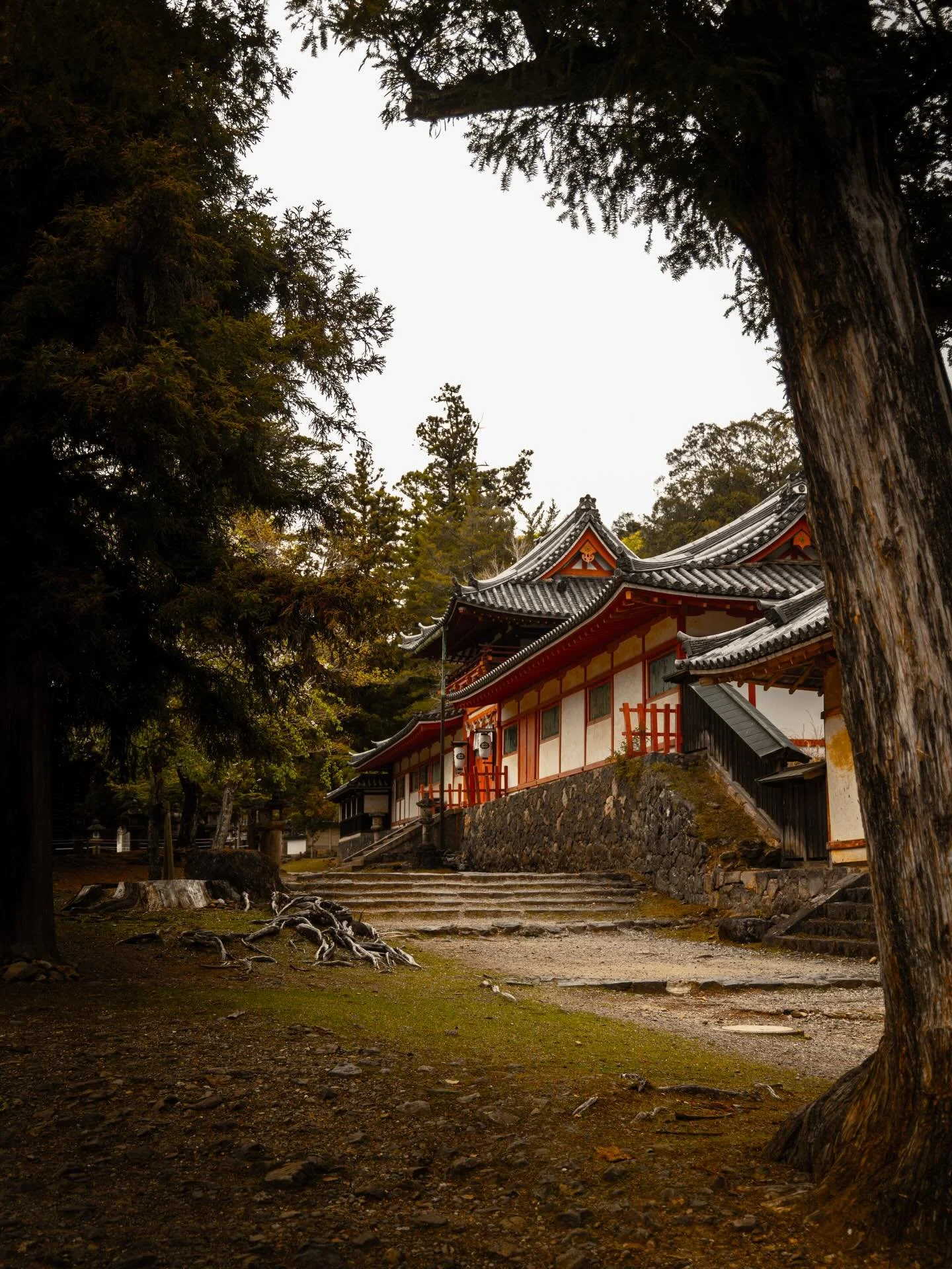 A hectic afternoon in the peaceful town of Nara 🍱
Nara &ndash; April 2025

#japan #nara #travel #travelphotography #photography