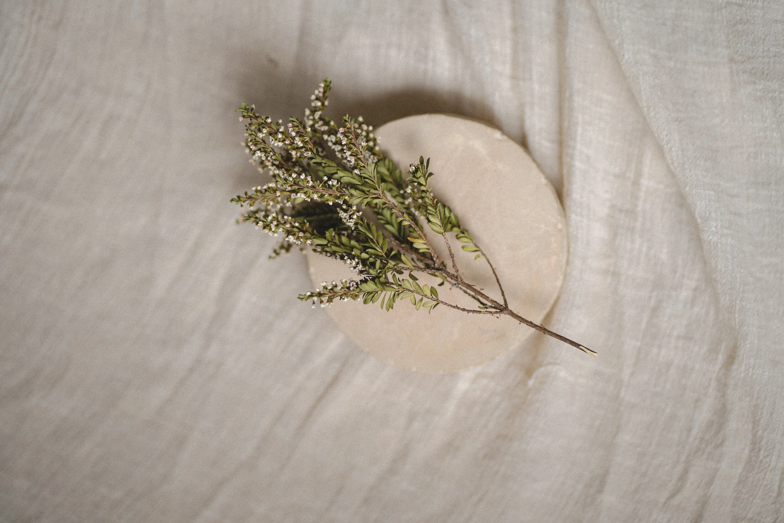 Wellness in a Hospitality Space