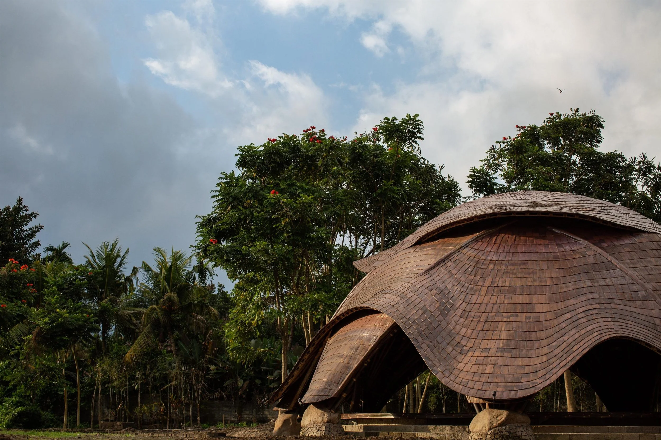 Applying long-term strategies for Sustainable change