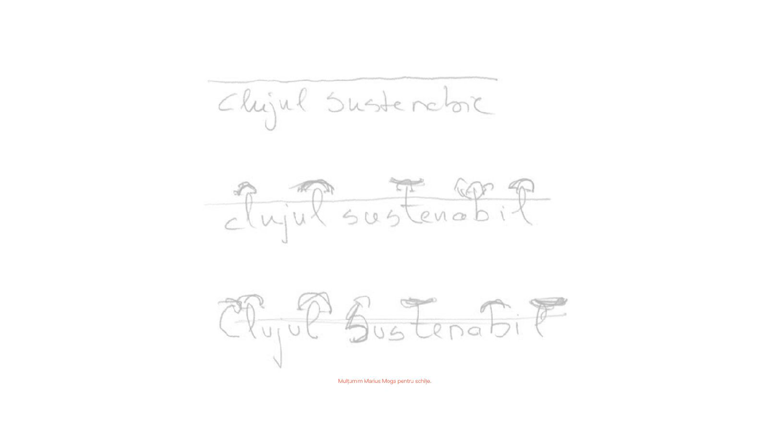 Clujul Sustenabil—Identitate și limbaj vizual 2026_Page_20.png