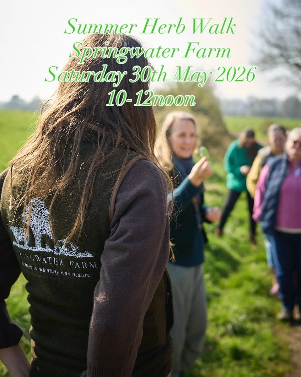 Come and join us at Springwater Farm on the National Trust Killerton estate for our Summer Herb Walk 🌿

Learn about the healing and soothing properties of our Summer herbal allies for skin, allergies and whole body health 🌿

Hear their folklore and