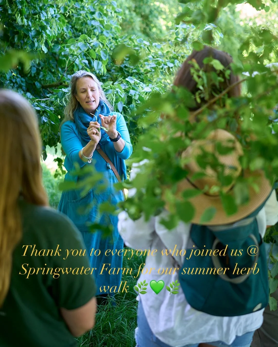 🌿A beautiful sunny morning spent getting to know our summer herbal allies growing @springwaterfarm_  on the @nationaltrust Killerton Estate

🌿We enjoyed the dappled shade and beautiful views as we learned from the plants and their wisdom, trying di