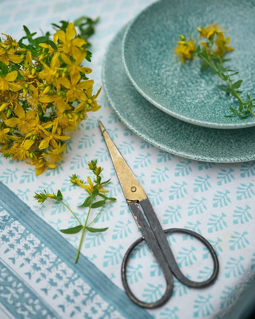 Happy Summer Solstice! 🌞
Thank you so much to all of you who joined us for our celebration and seasonal remedy workshop. We had a packed sunny day of plant medicine and connection🌿

We began by meeting seasonal herbs to support skincare, using our 