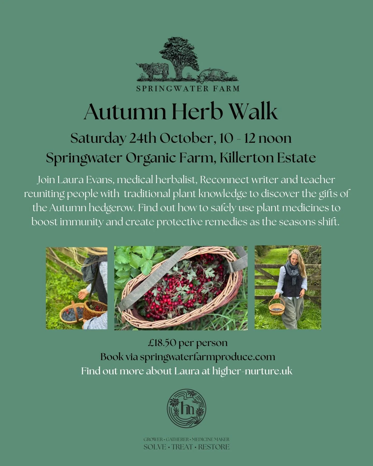 Join us for our Autumn herb walk @springwaterfarm_ on the Killerton National Trust estate near Exeter next Saturday 24th October 2026, 10-12 noon, and find out how our hedgerow medicines can support us as the seasons shift 🍂 

The walk will be led b