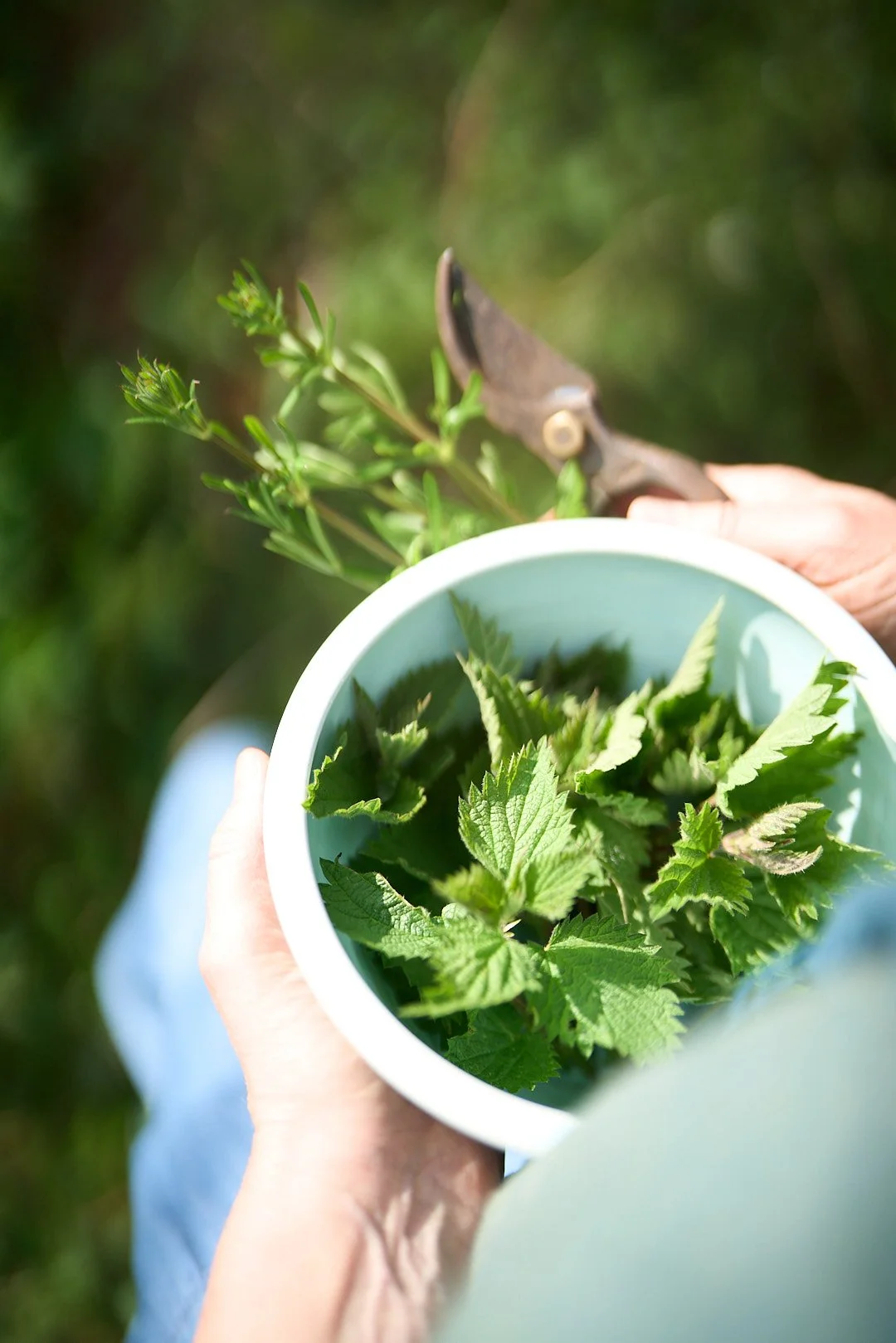 Spring Herbal Remedy Workshop with Laura Evans from Higher Nurture, Sunday 19th April 2026, 9.30am - 5.30pm