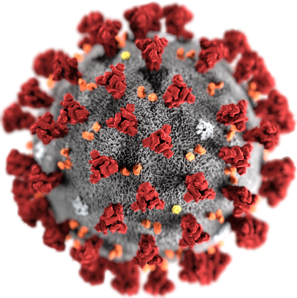 Corona Virus Response Still A Disaster.