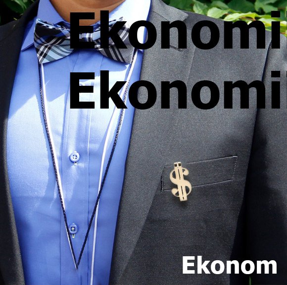 Ekonom