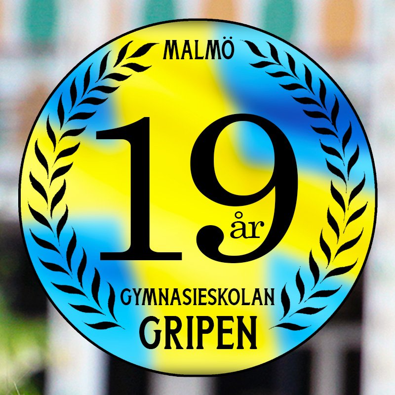 19 år i Malmö