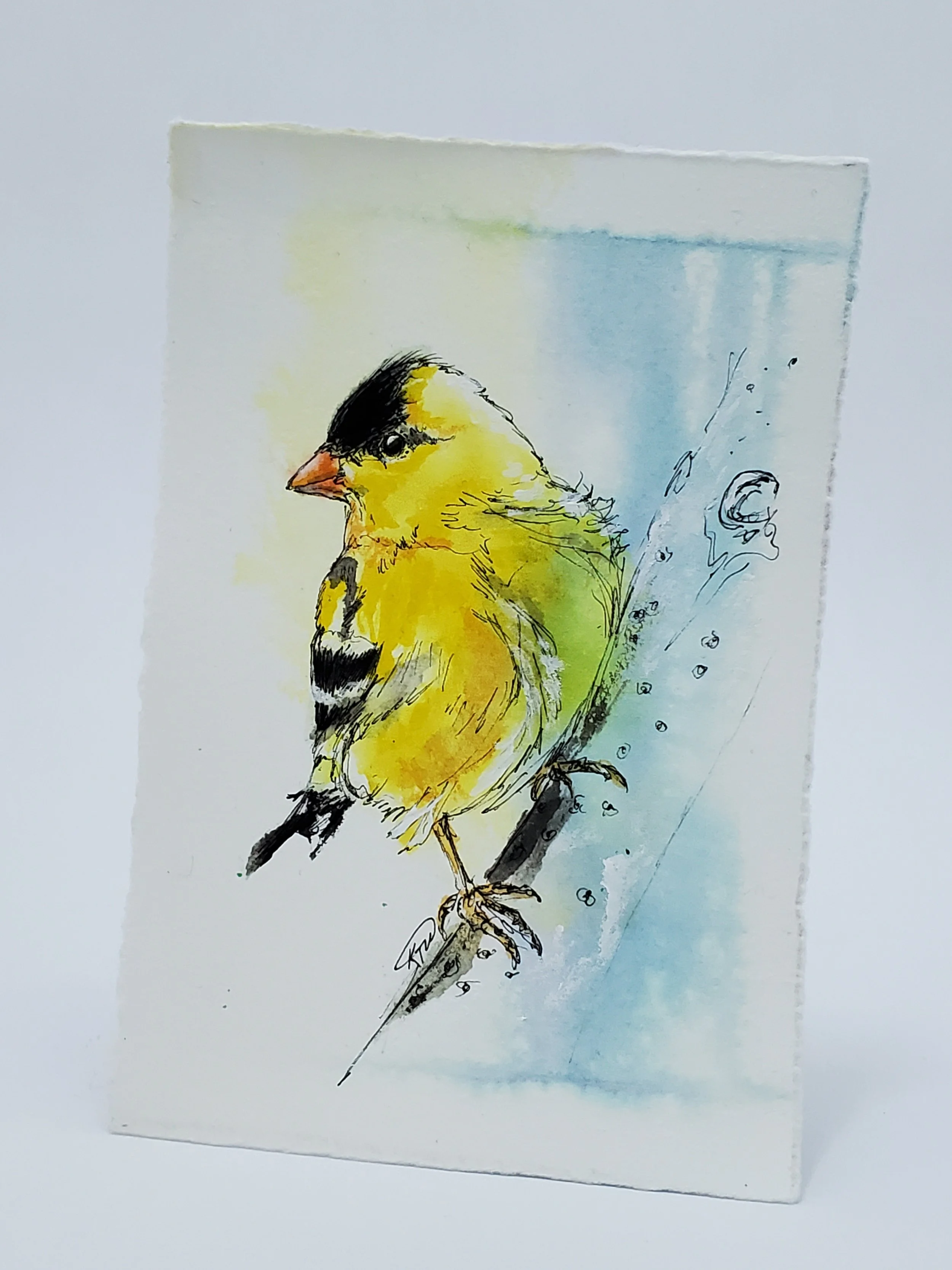KTurner2025Goldfinch.jpg