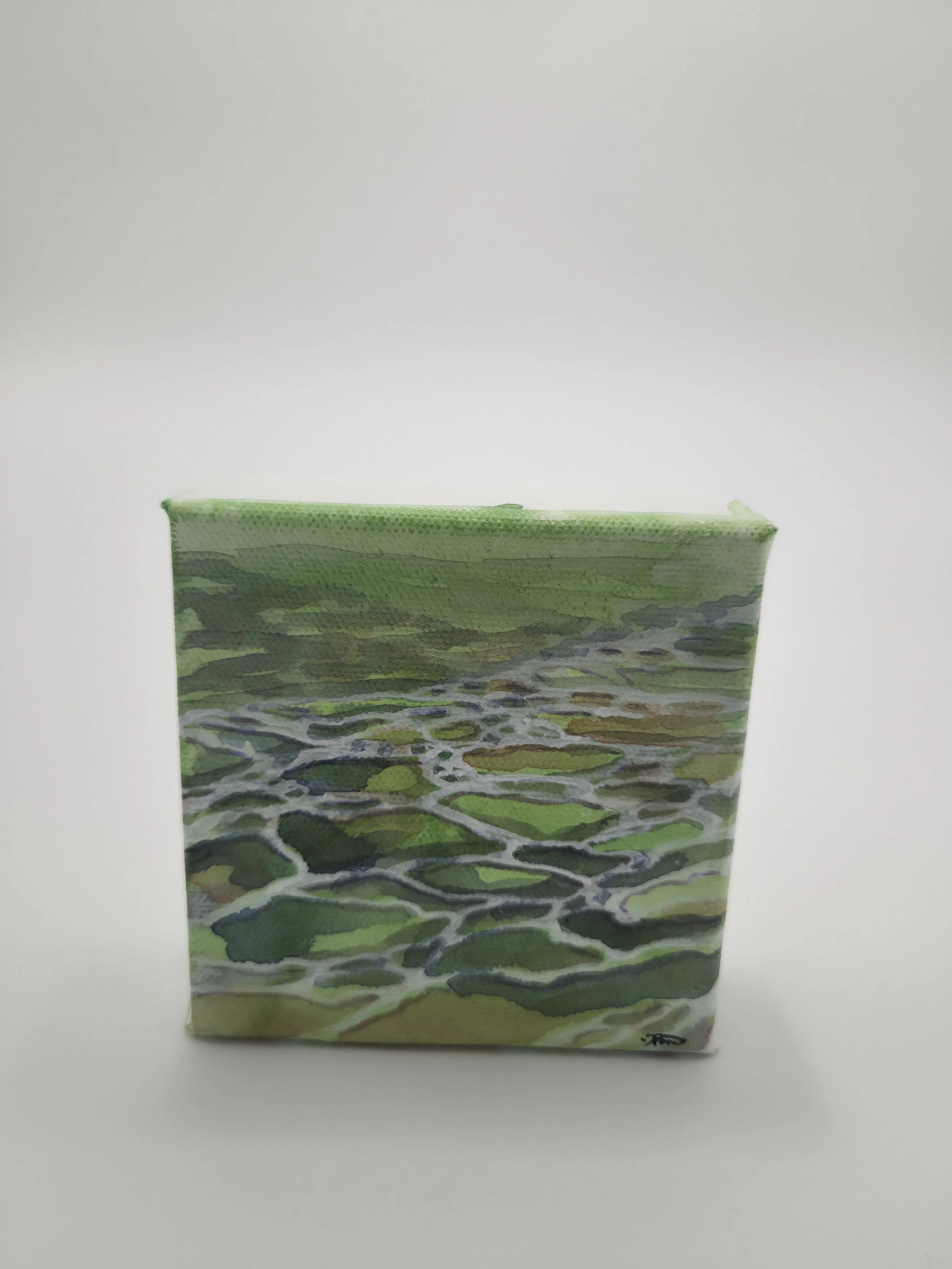 Water Study at Spillway Seires