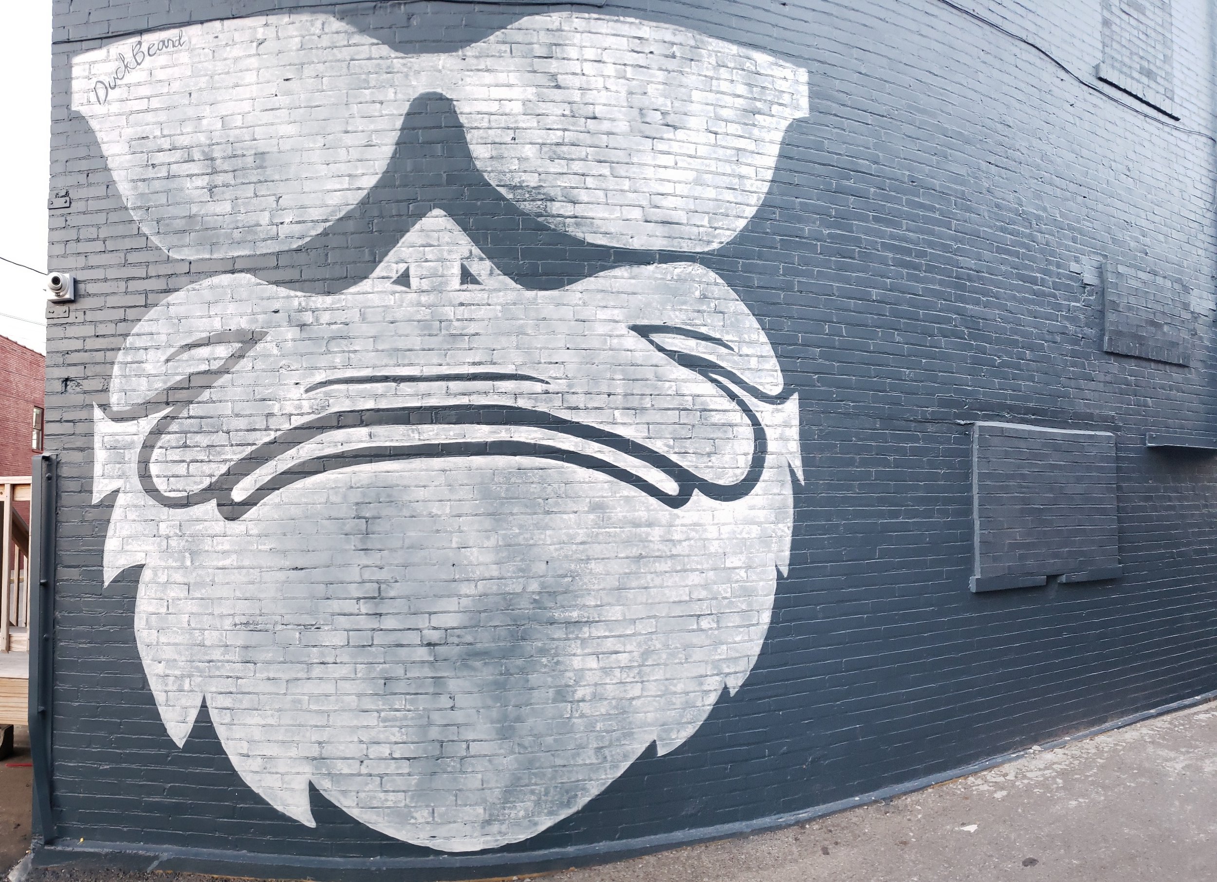 KTurner 2021 Duck Beard Mural, Corbin, KY