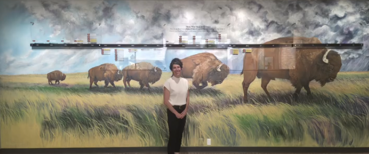 29'x9' Bison Mural, Lexington,KY