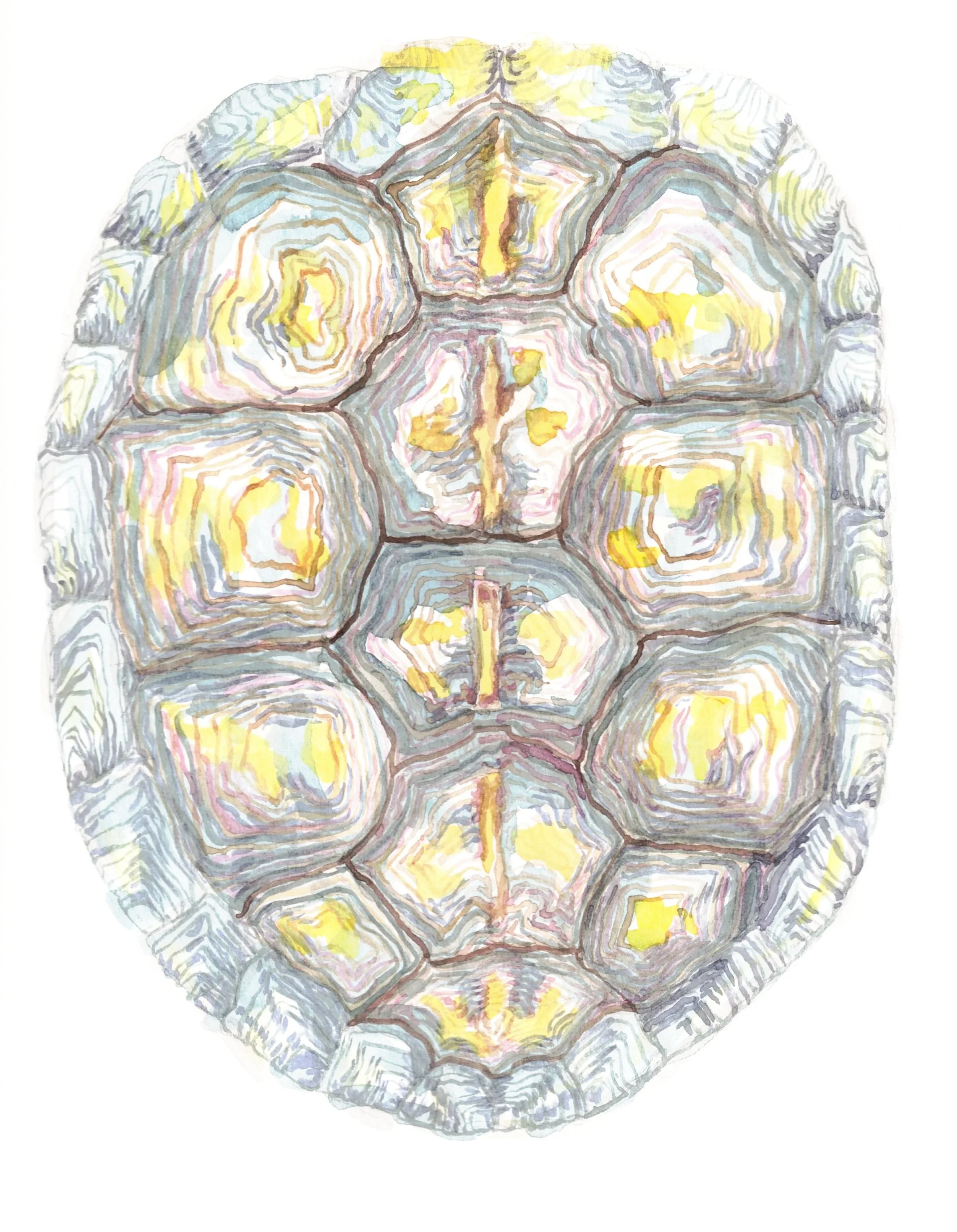 Day+03+of+31+Box+Turntle+Shell.jpg