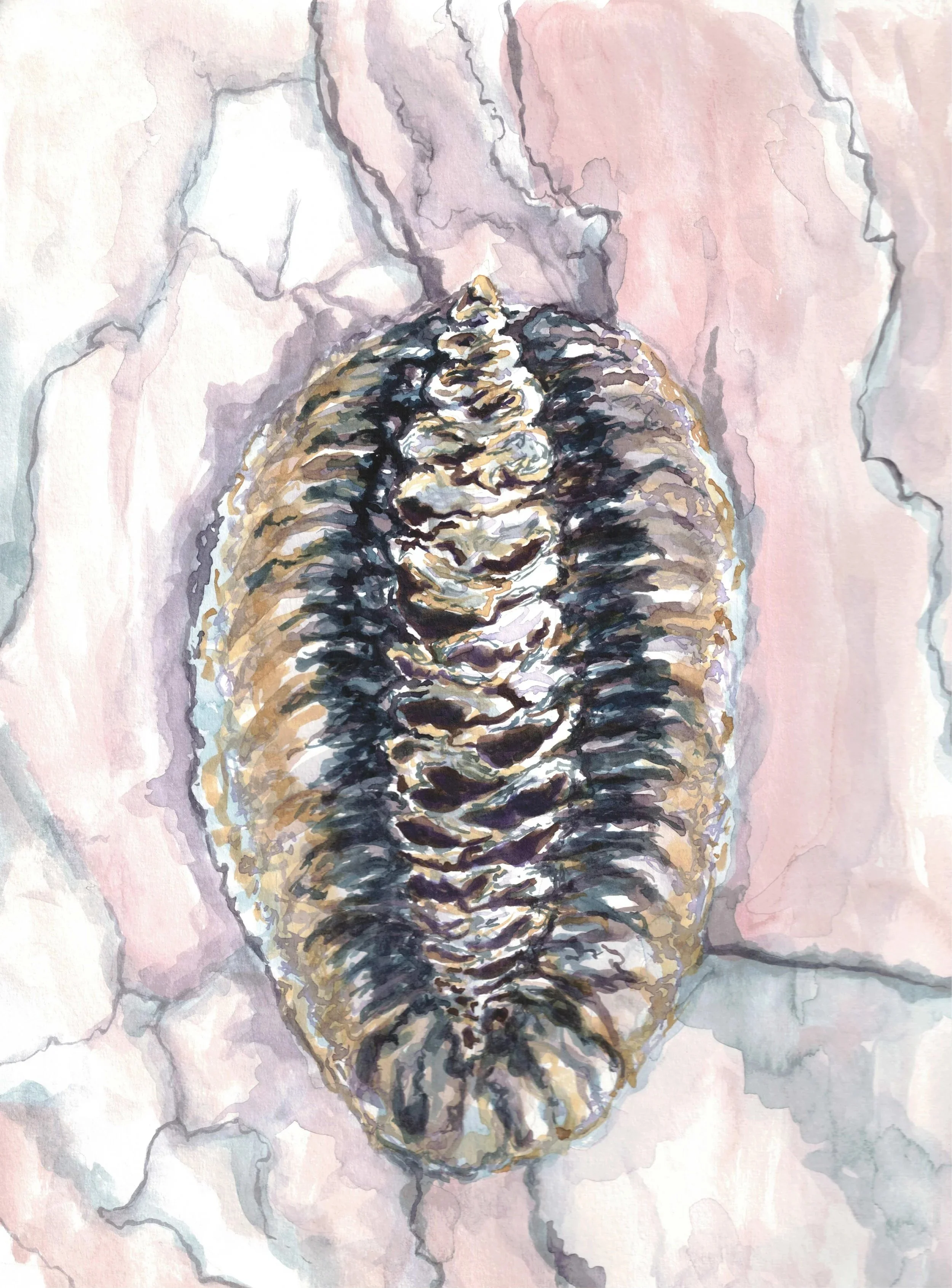 Day 09
