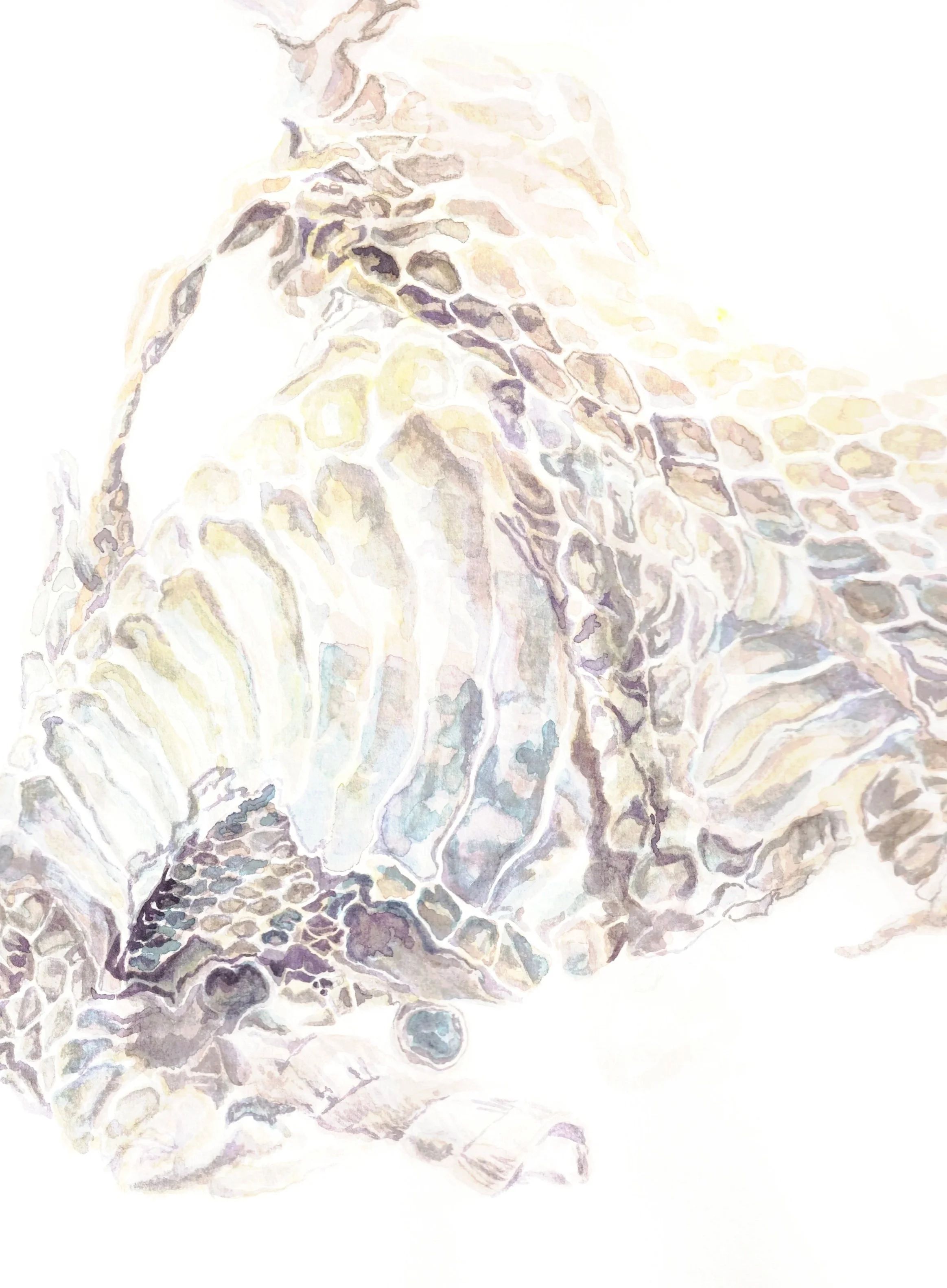 Day+02+of+31+Snake+Skin+Study.jpg