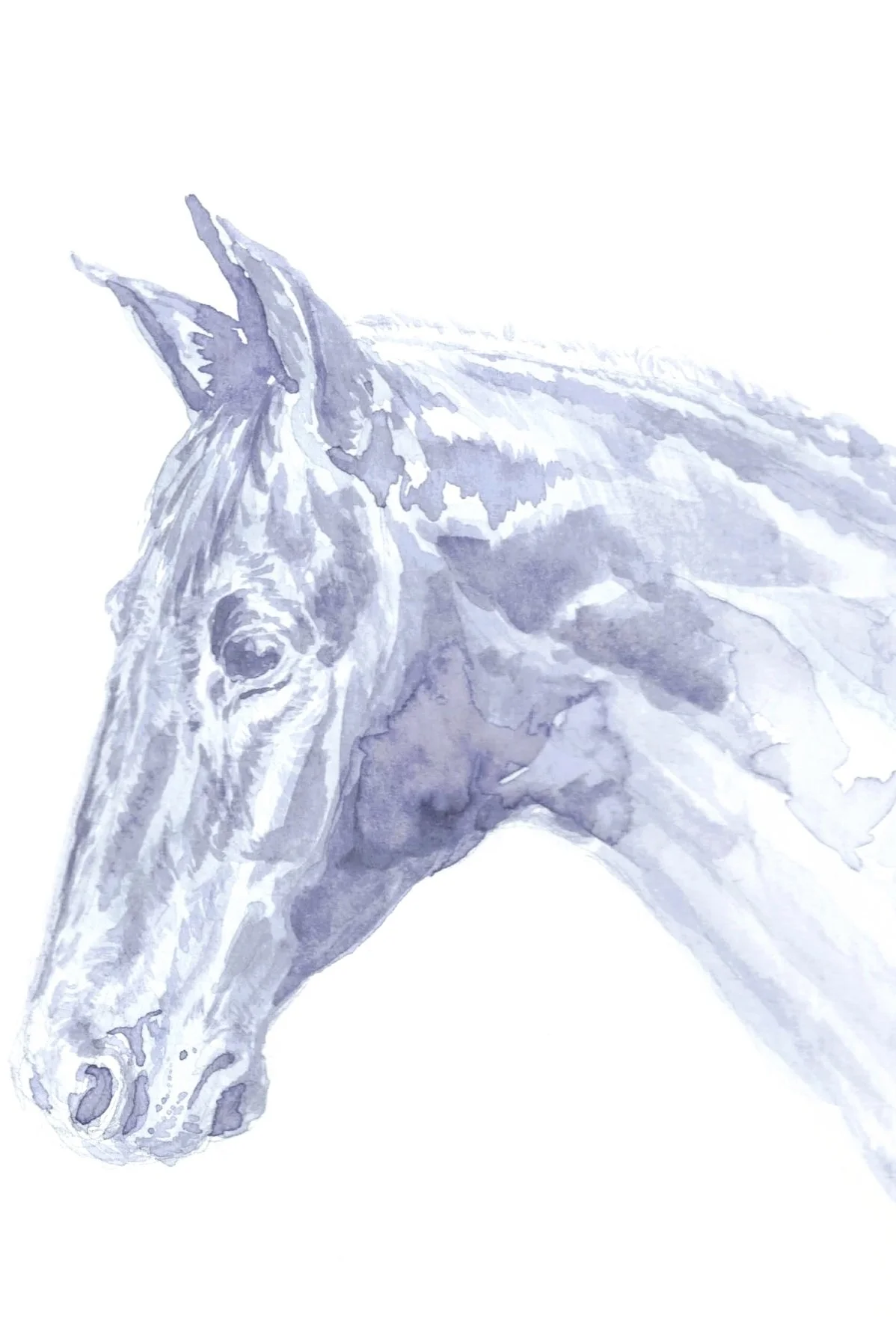 Day+22+of+31+Horse+Head.jpg