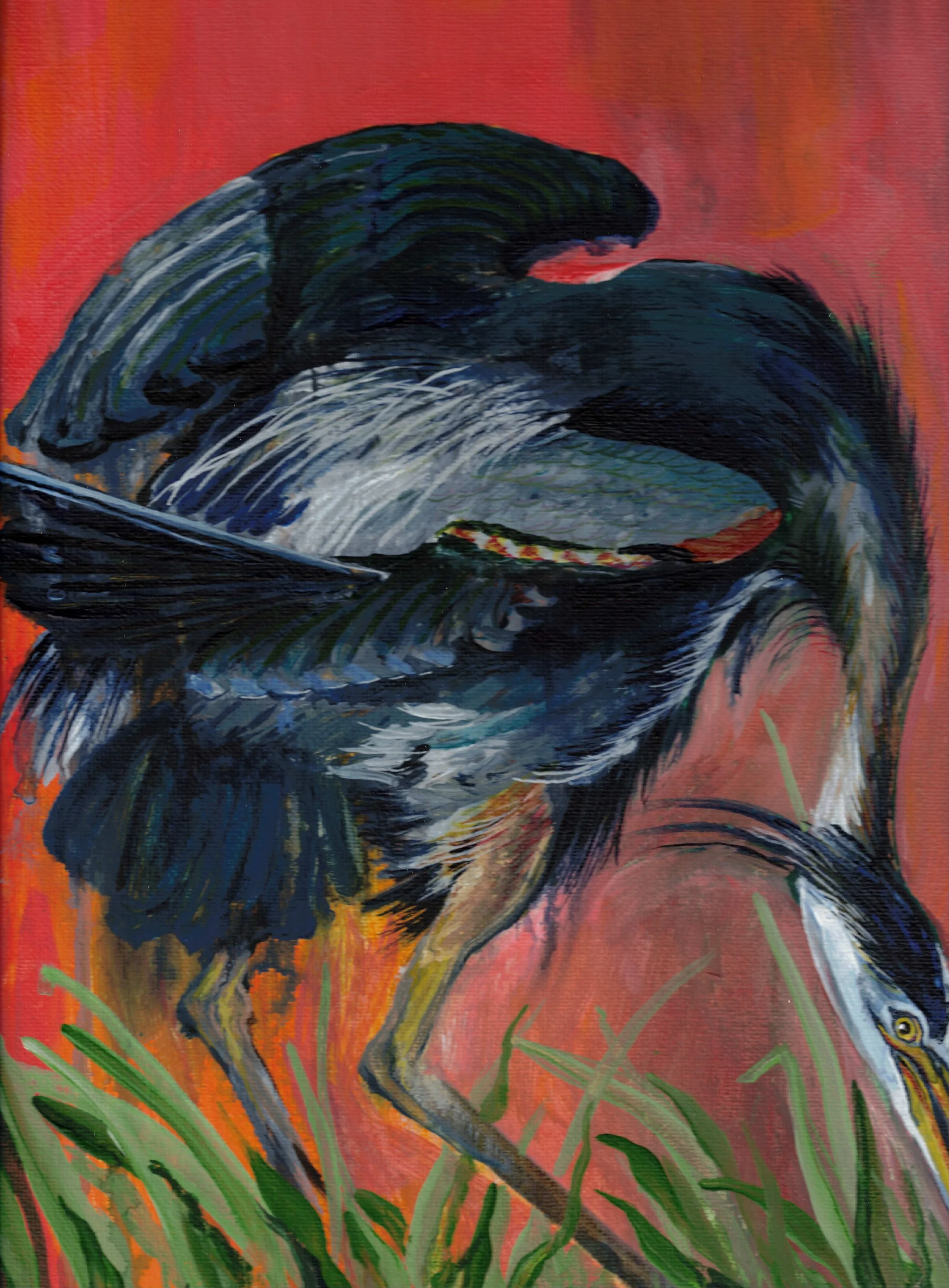 Heron Scan from 31 in 31.jpeg