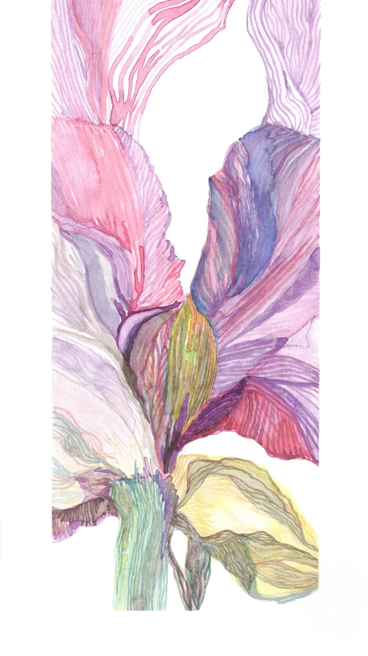Day+23+and+24+of+31+Floral+Studies.jpg