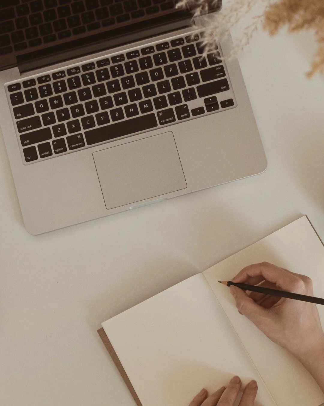After a month and a half of incredible book tour adventures, it&rsquo;s time for me to do what writers do best&hellip; disappear into the writing cave for a while. 

I&rsquo;ve loved every single moment of meeting readers, sharing stories, and celebr