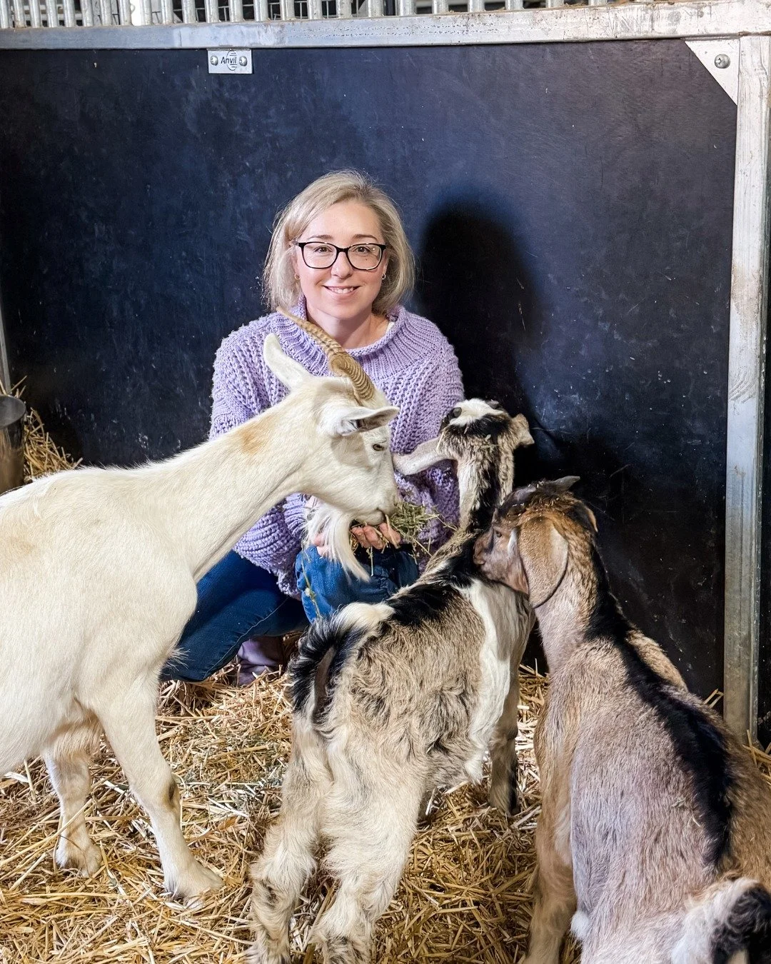 Yep&hellip; still over here wrangling goats. 🐐😅

Some days it&rsquo;s book deadlines, some days it&rsquo;s goat drama&mdash;and most days it&rsquo;s a little of both.

Life on the farm keeps me humble (and occasionally covered in hay), but I wouldn